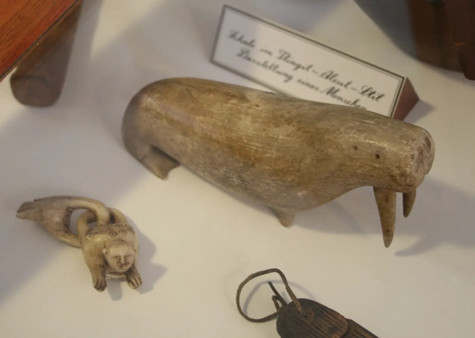 State Museum for Nature and Man