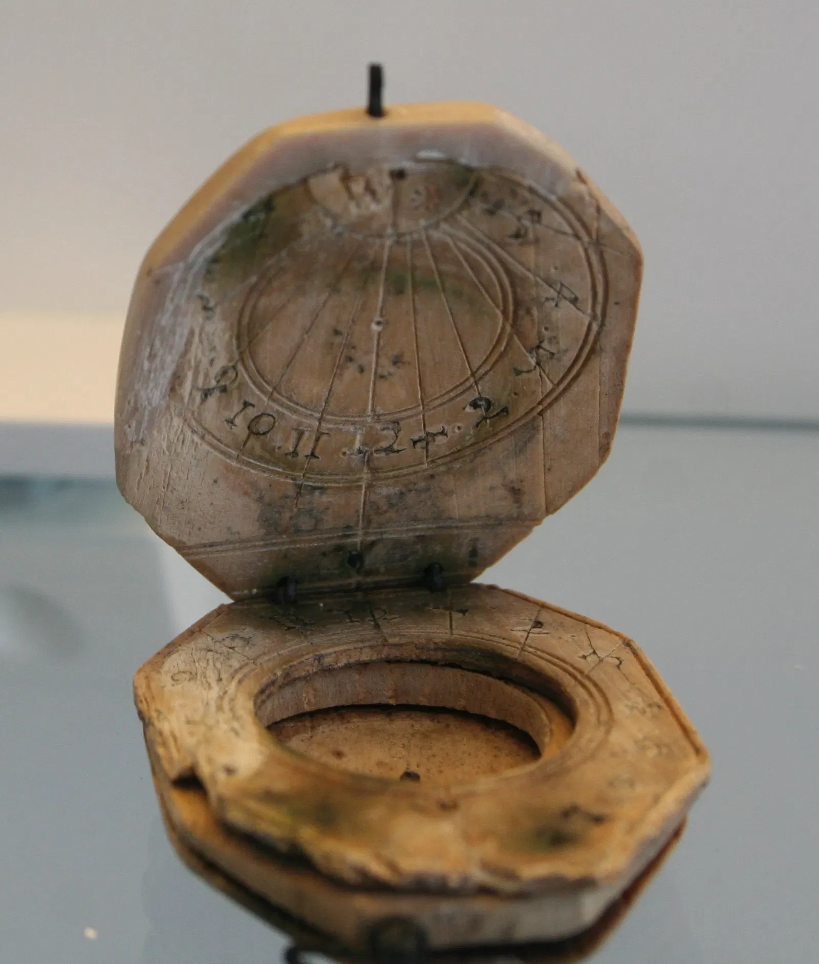 State Museum for Nature and Man