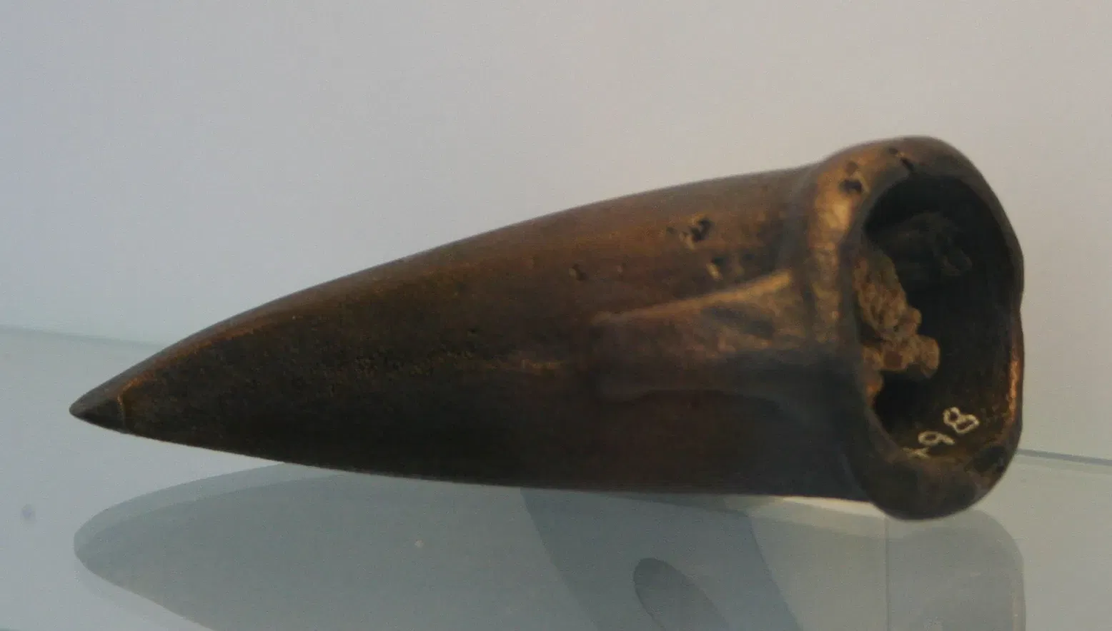 Landesmuseum für Natur und Mensch