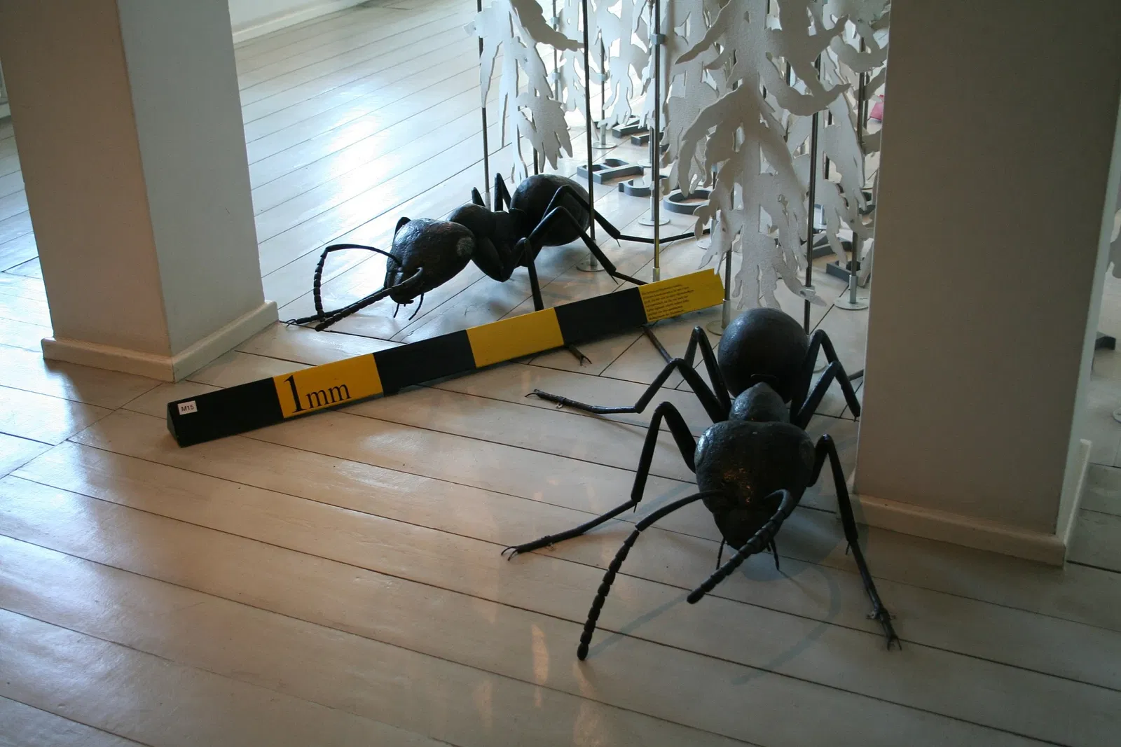 Landesmuseum für Natur und Mensch