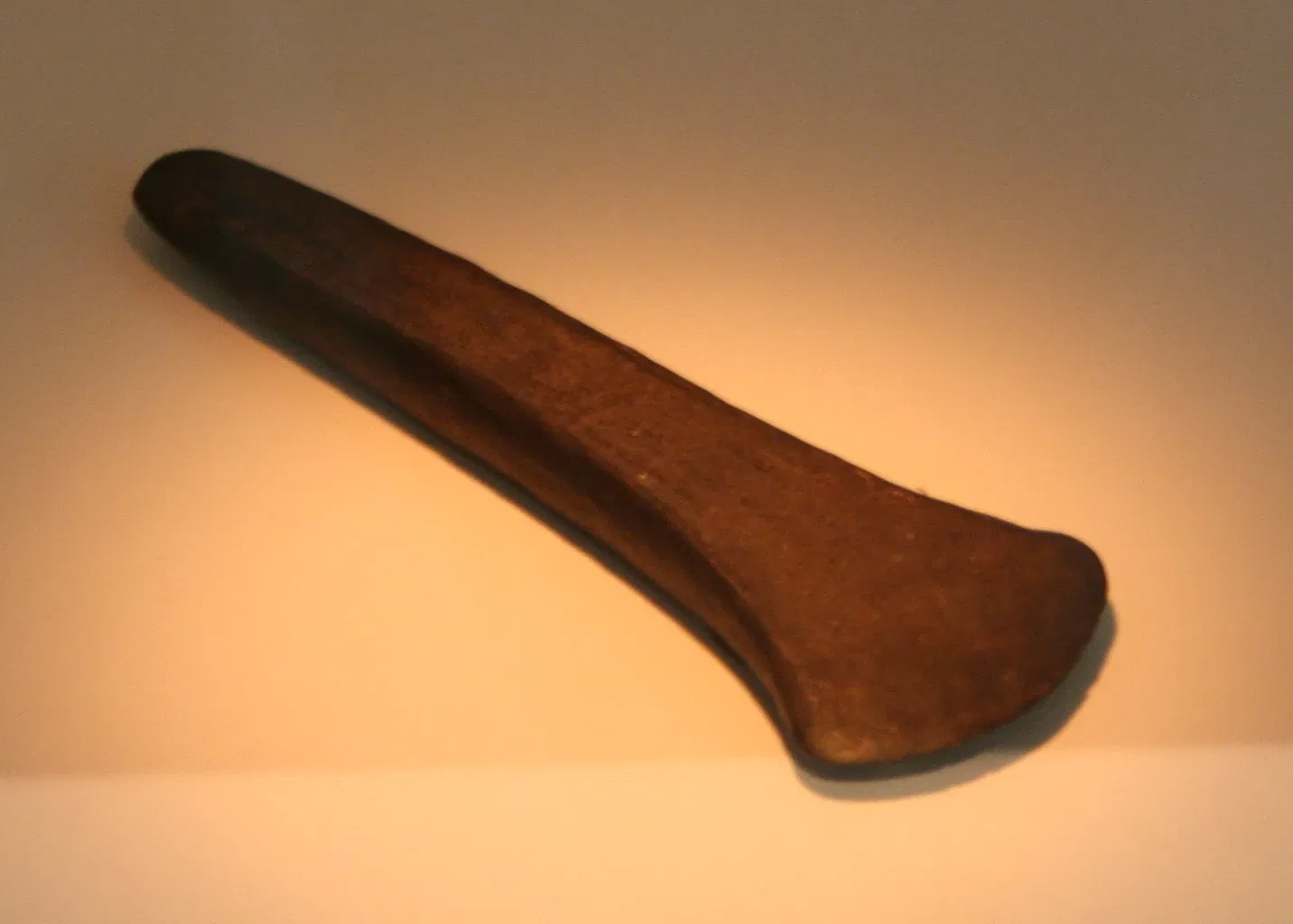 State Museum for Nature and Man