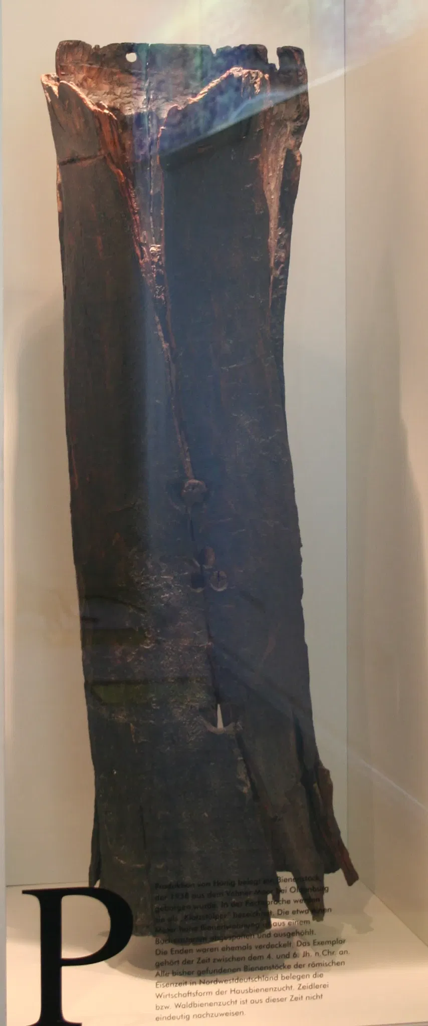 Landesmuseum für Natur und Mensch