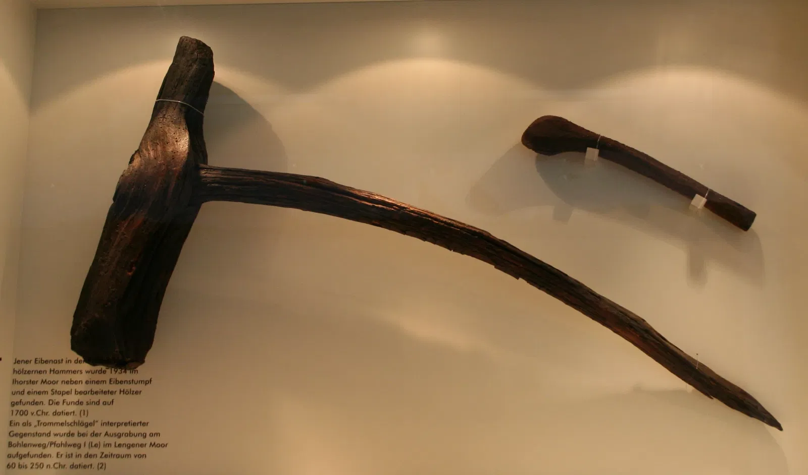 State Museum for Nature and Man