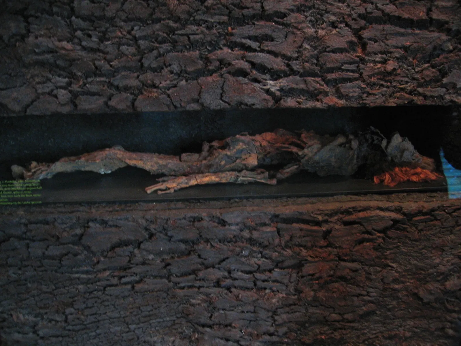 Landesmuseum für Natur und Mensch