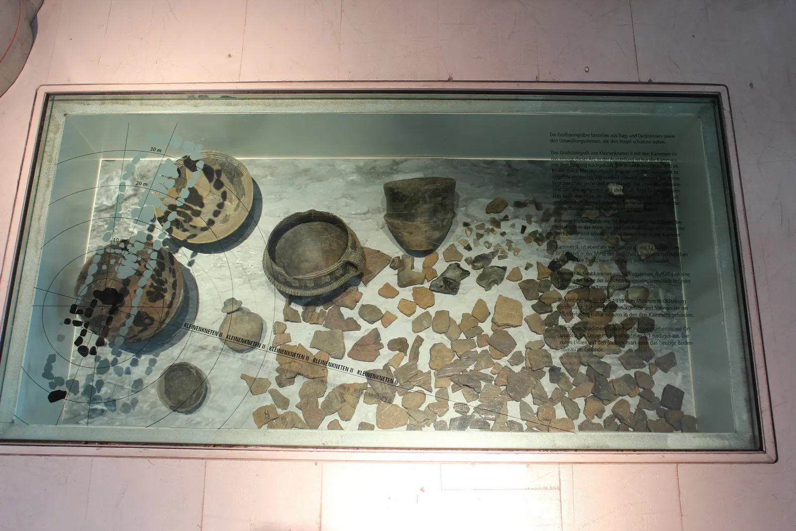 State Museum for Nature and Man