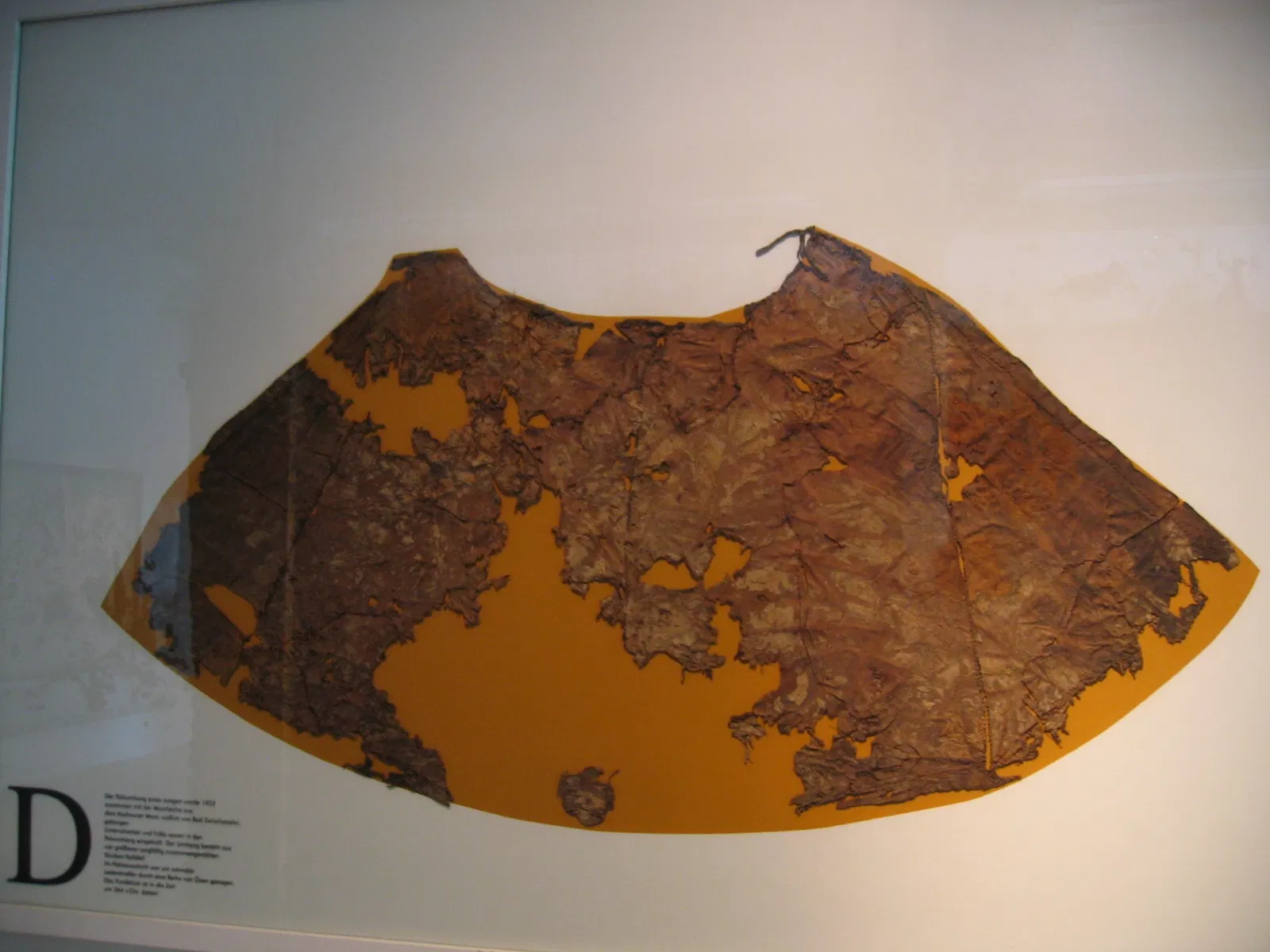 State Museum for Nature and Man