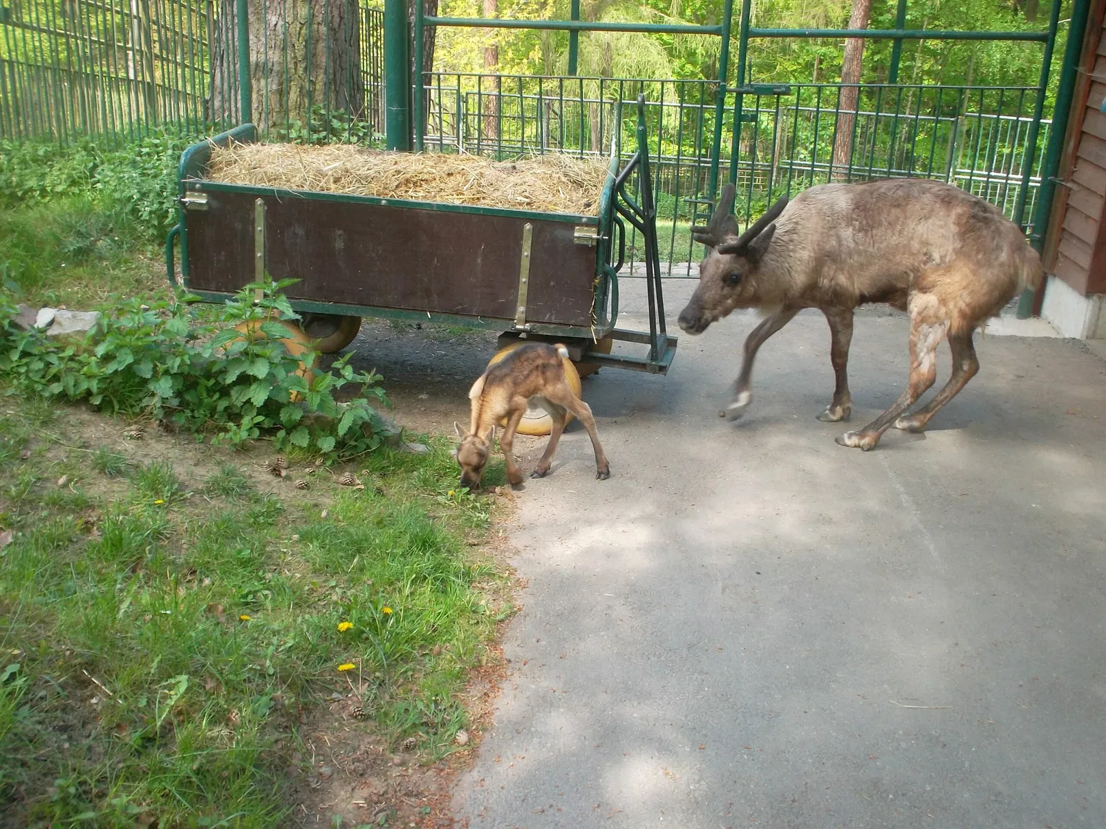 Tierpark Gera
