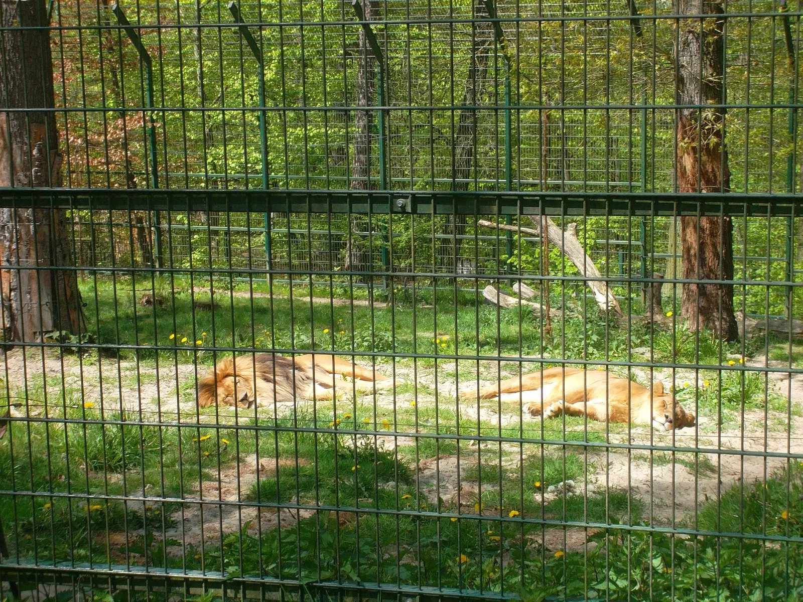 Tierpark Gera