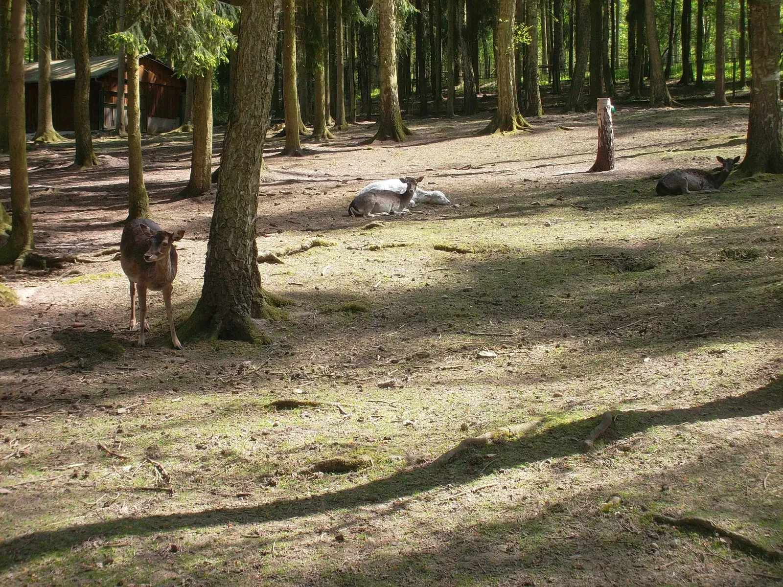 Tierpark Gera