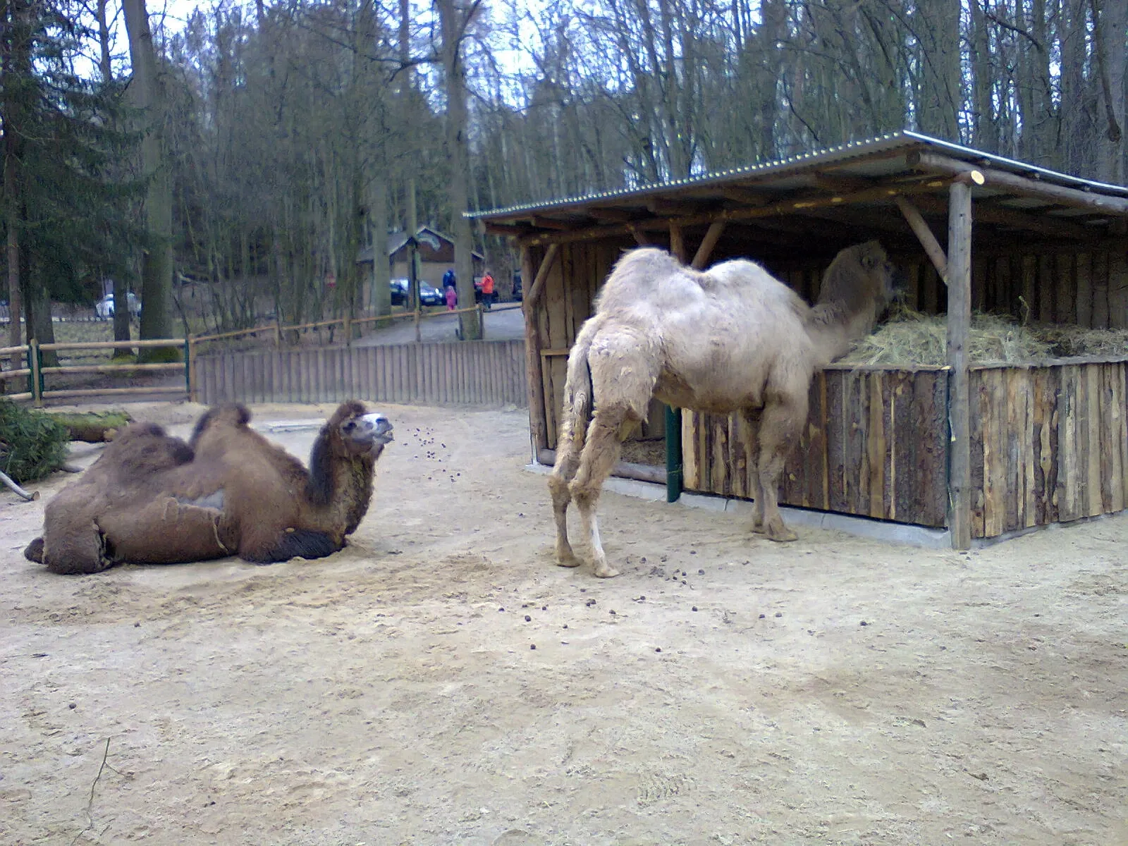 Tierpark Gera