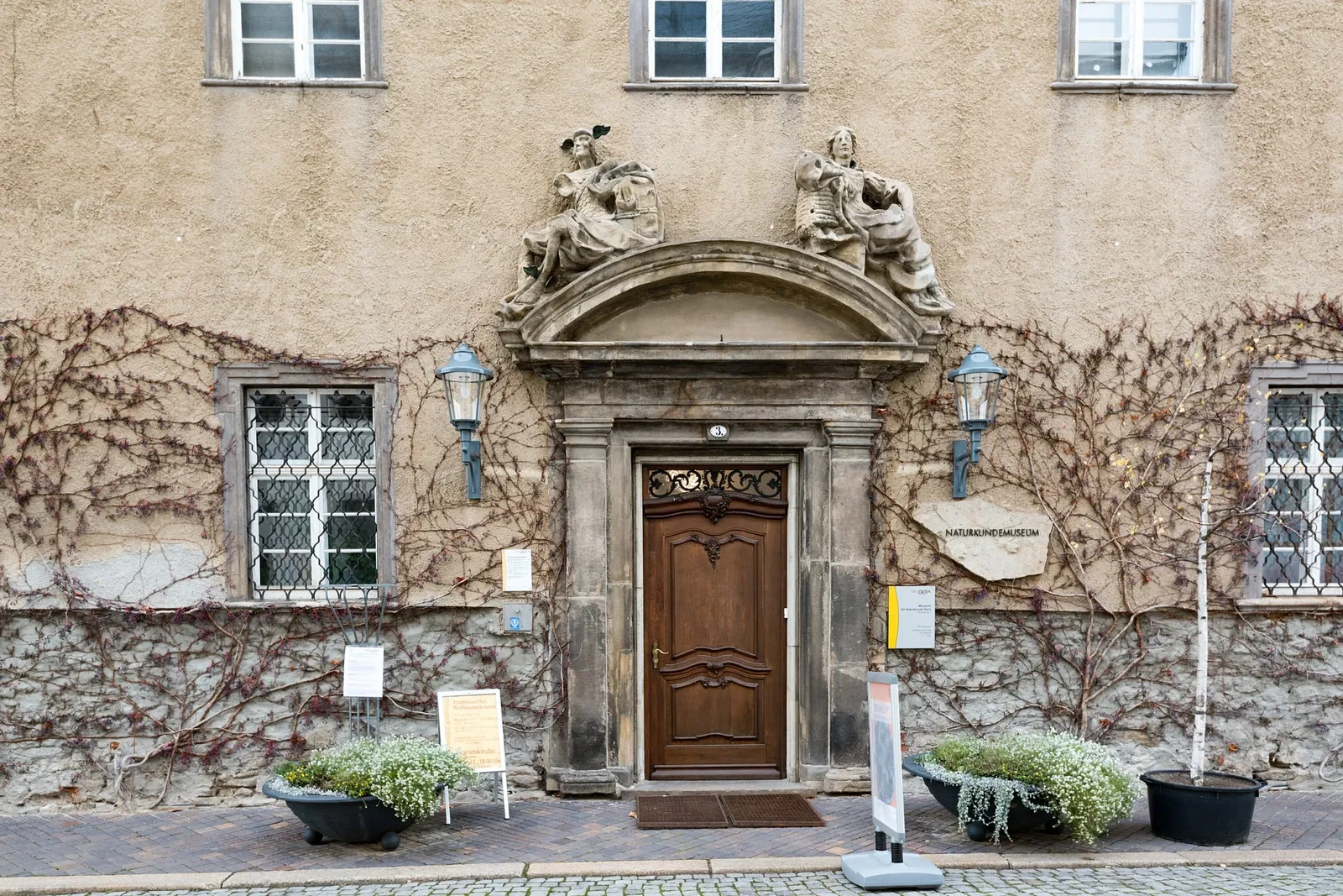 Museum für Naturkunde