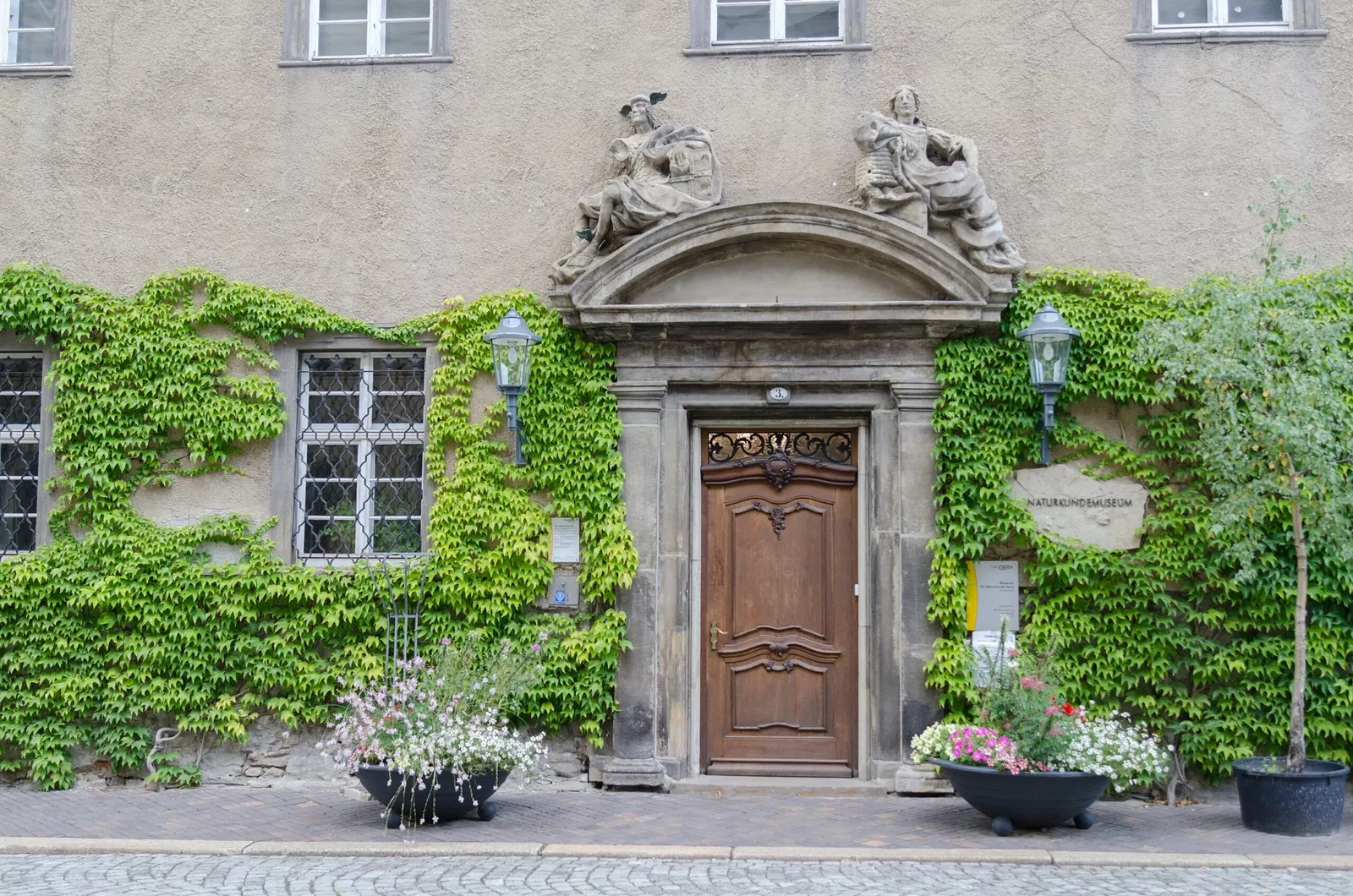 Museum für Naturkunde