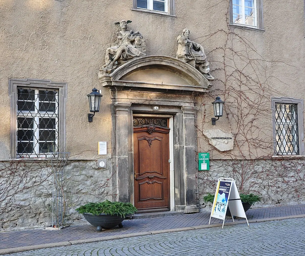 Museum für Naturkunde