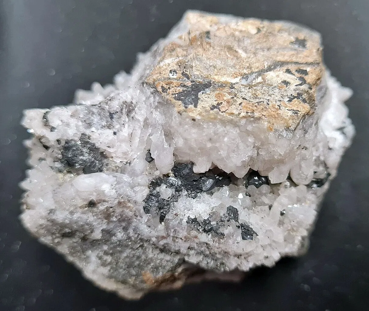 Kunstsammlungen Zwickau