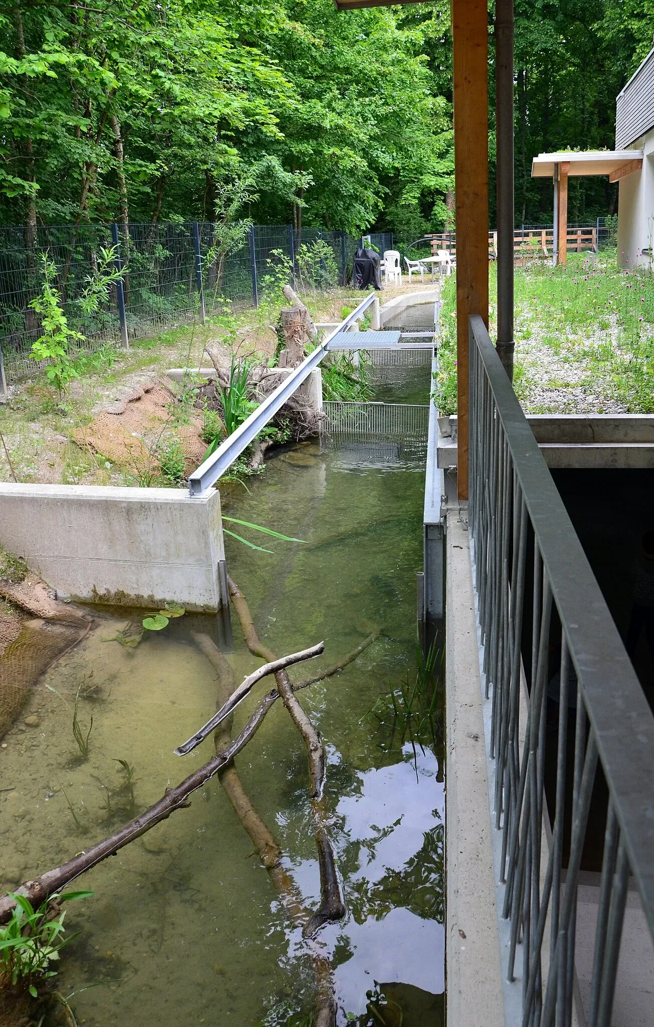 The House of the River