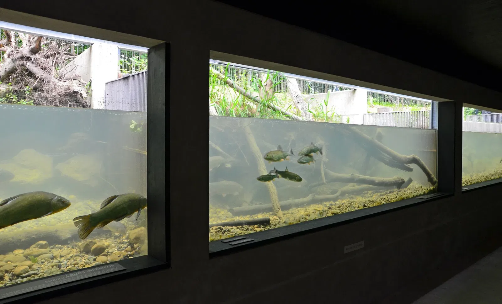 La Maison de la Rivière