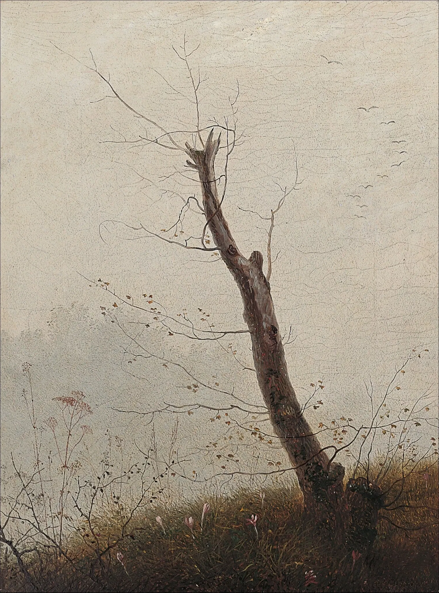 Pommersches Landesmuseum