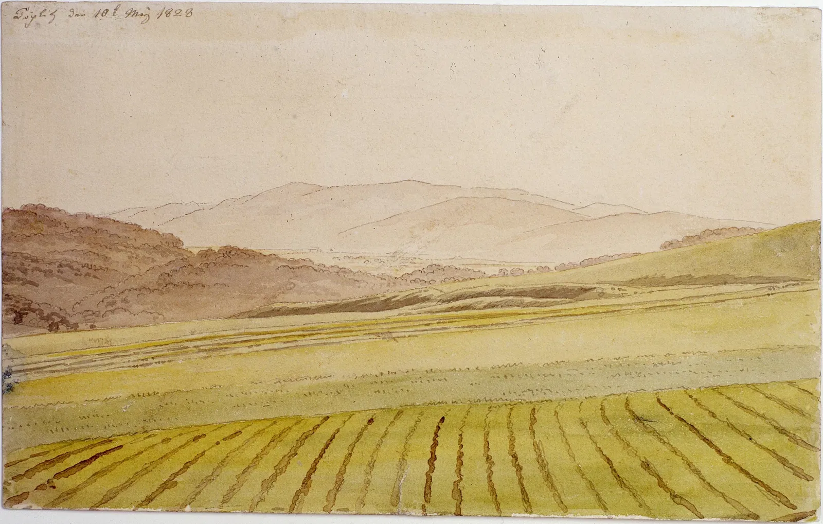 Musée régional de Poméranie