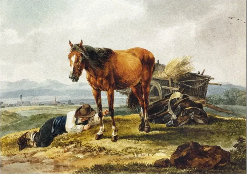 Museum Georg Schäfer