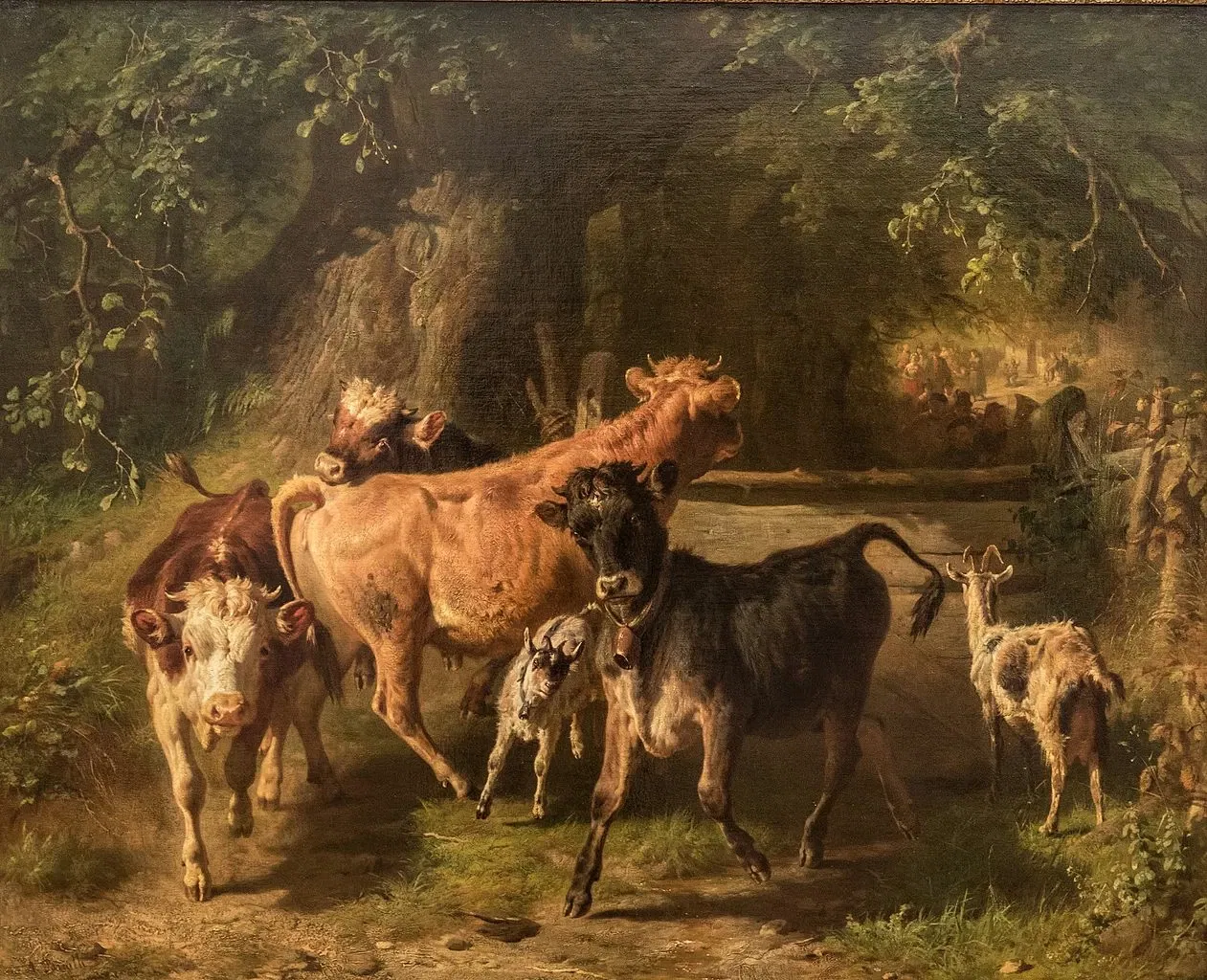 Museum Georg Schäfer