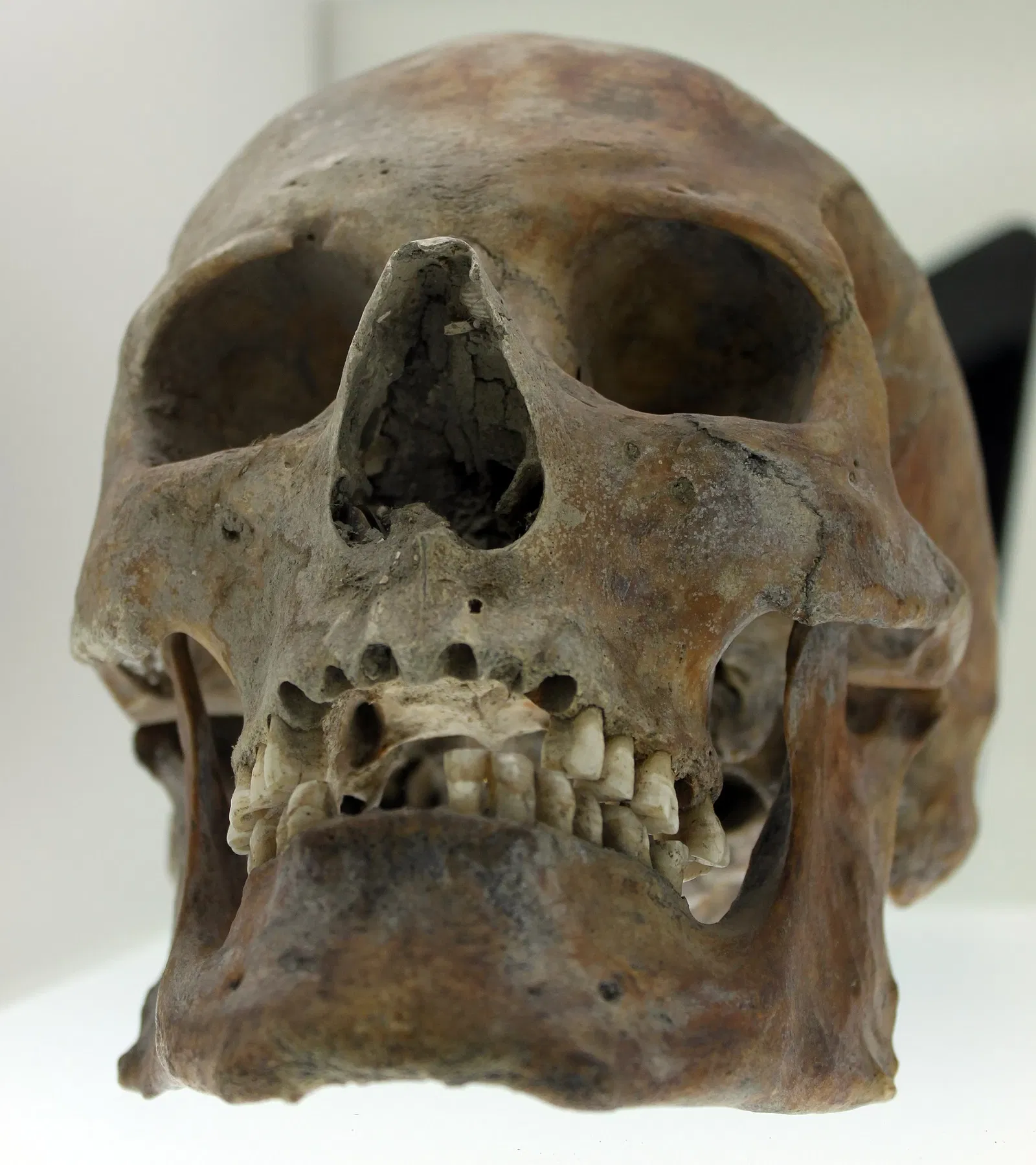 NordfrieslandMuseum Nissenhaus