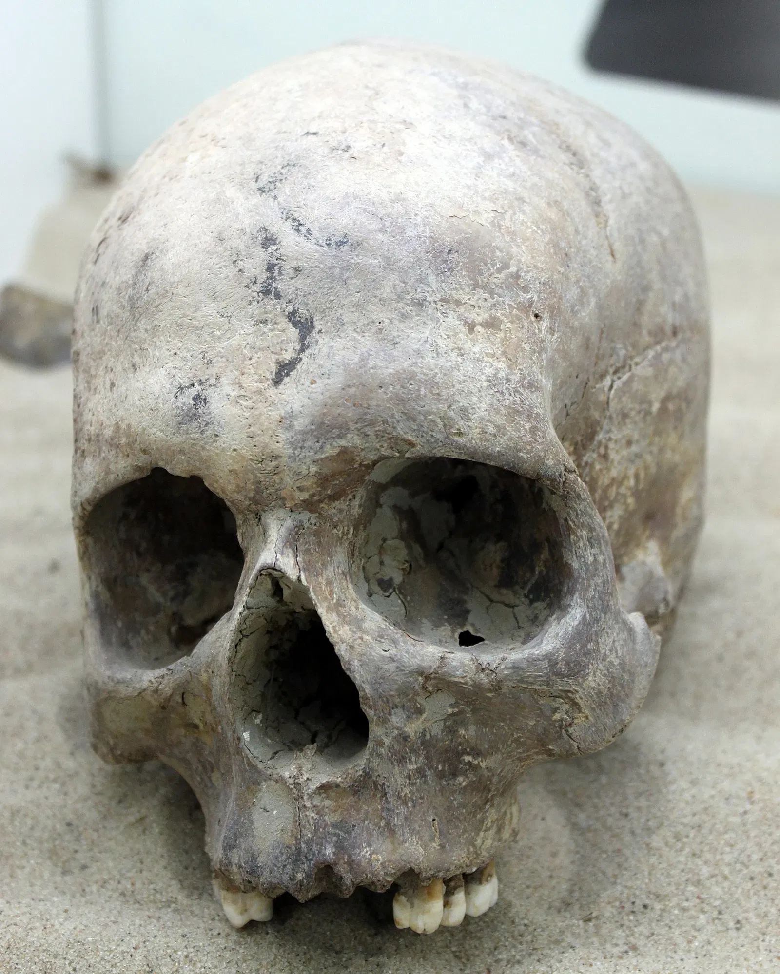 NordfrieslandMuseum Nissenhaus