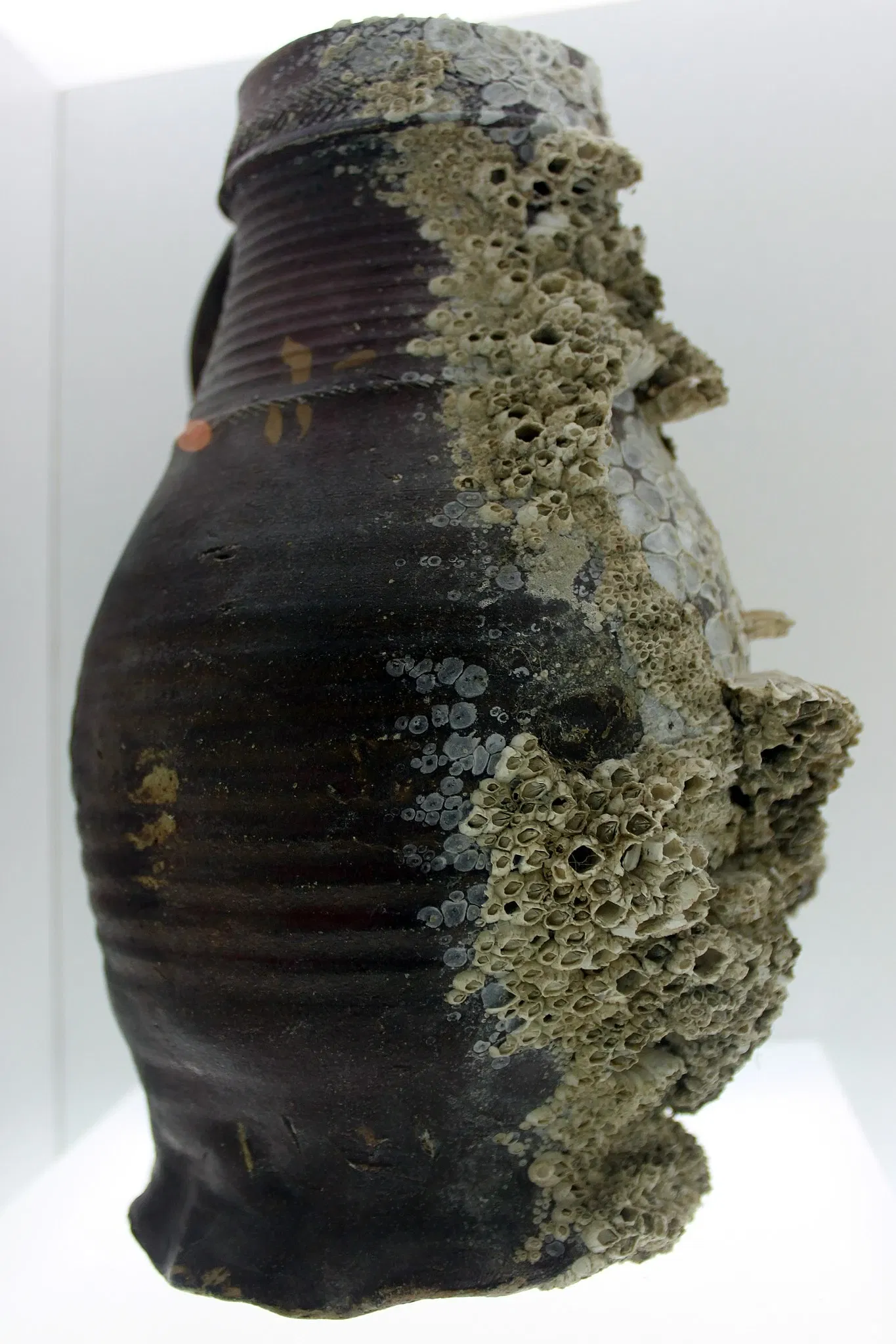 NordfrieslandMuseum Nissenhaus