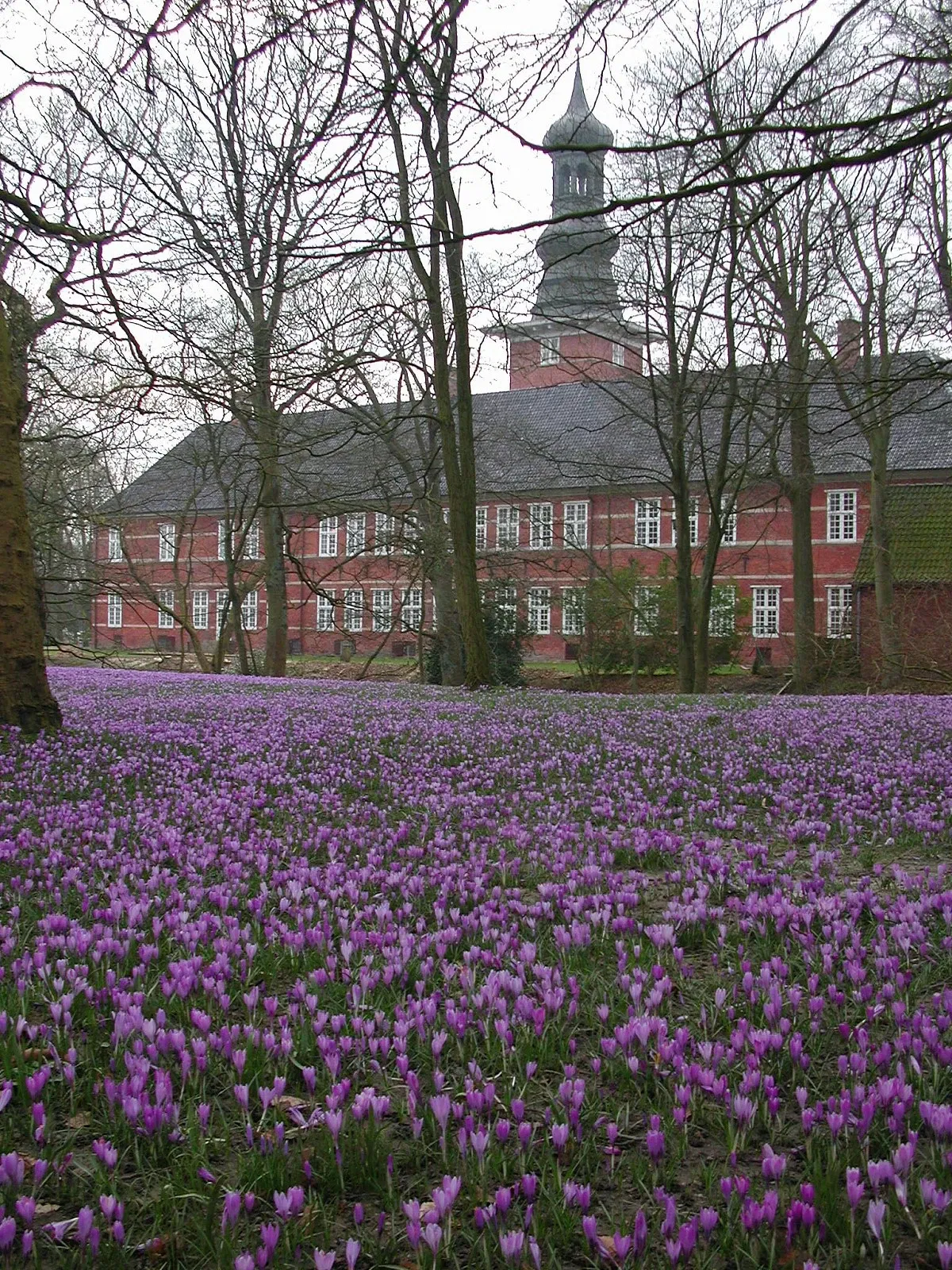 Schloss vor Husum