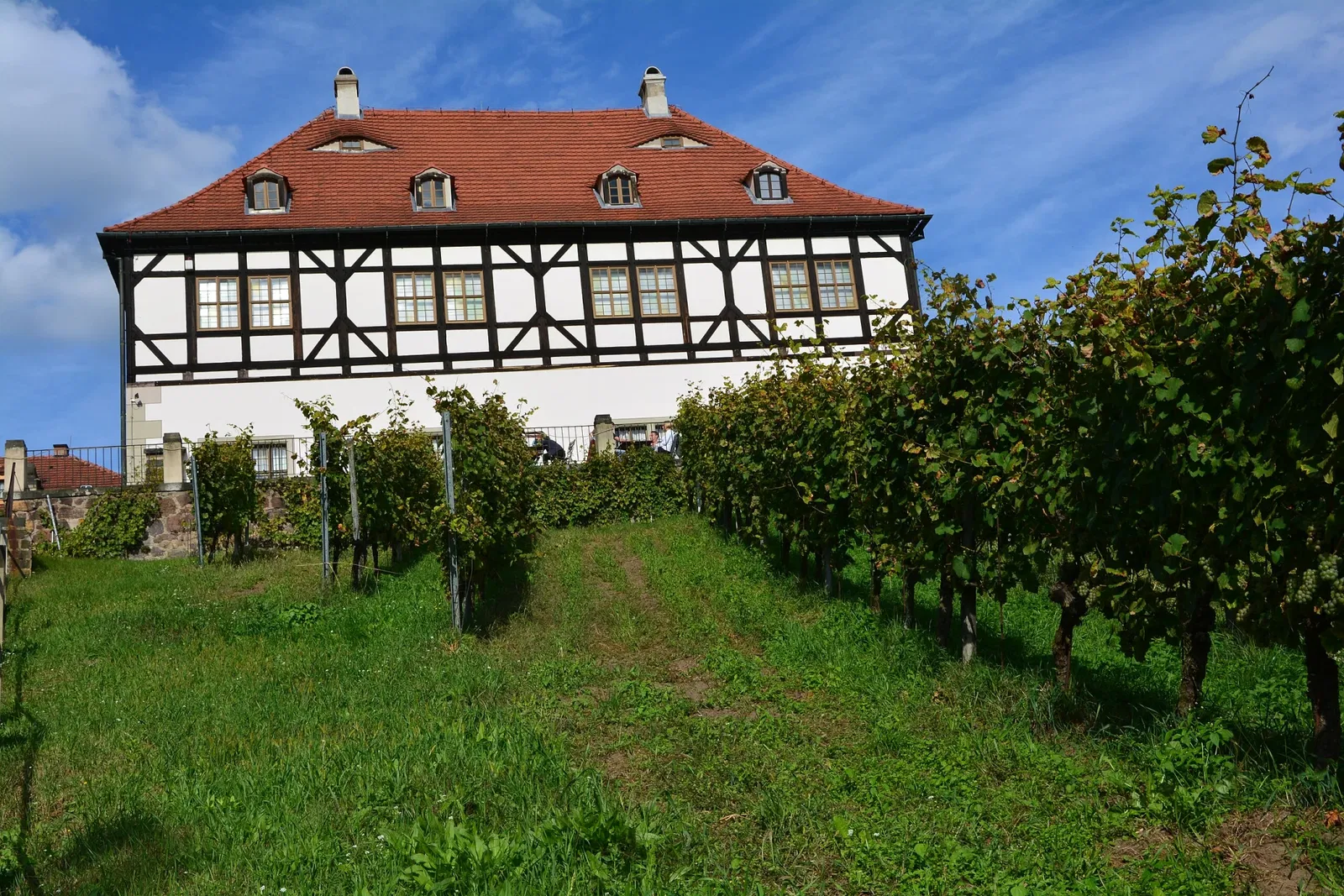 Sächsische Weinbaumuseum
