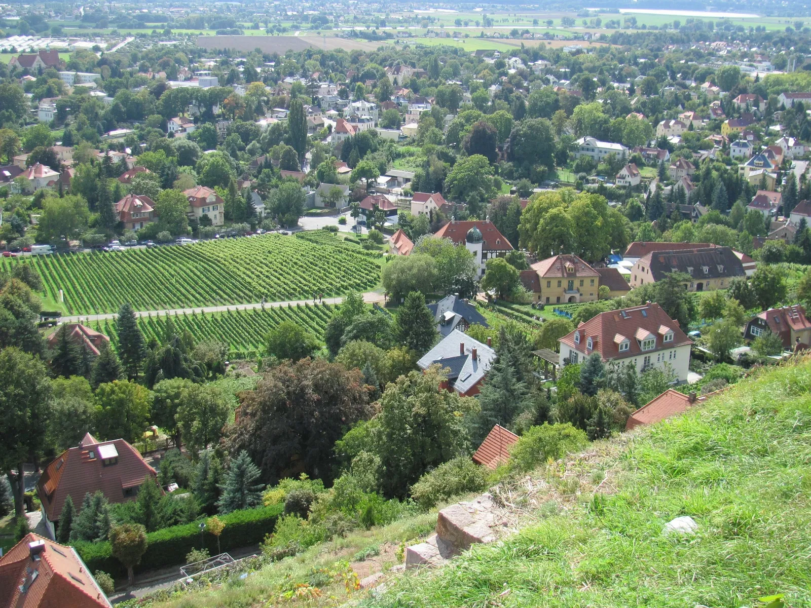 Sächsische Weinbaumuseum