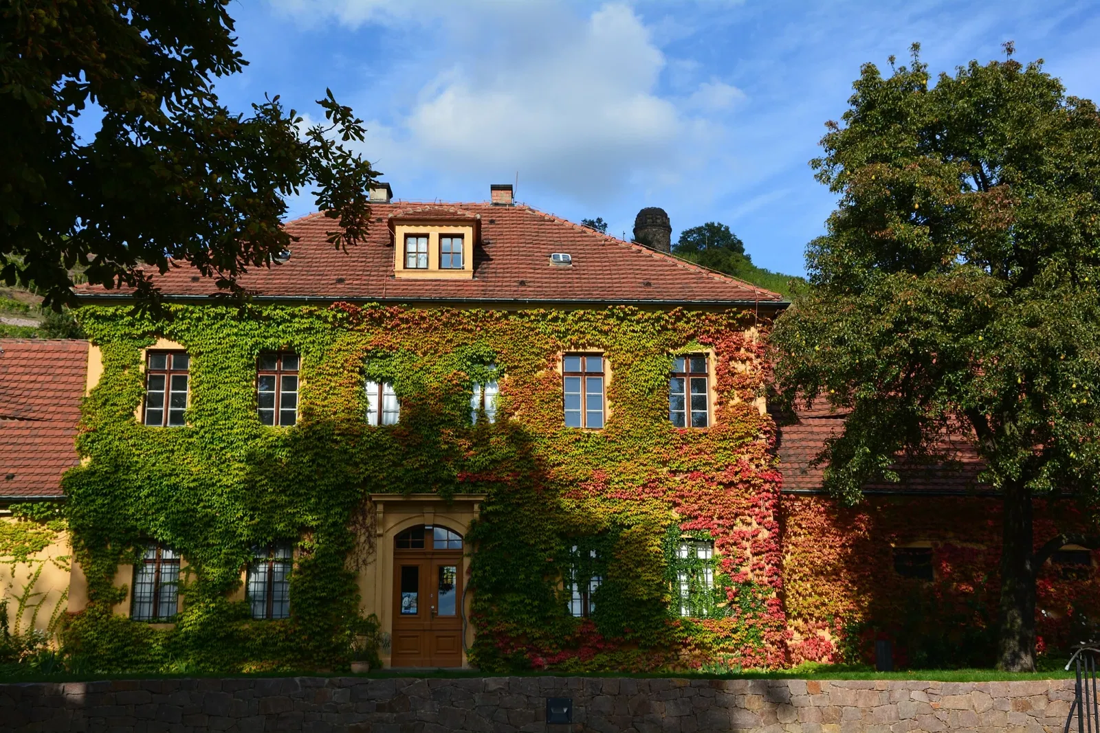 Sächsische Weinbaumuseum