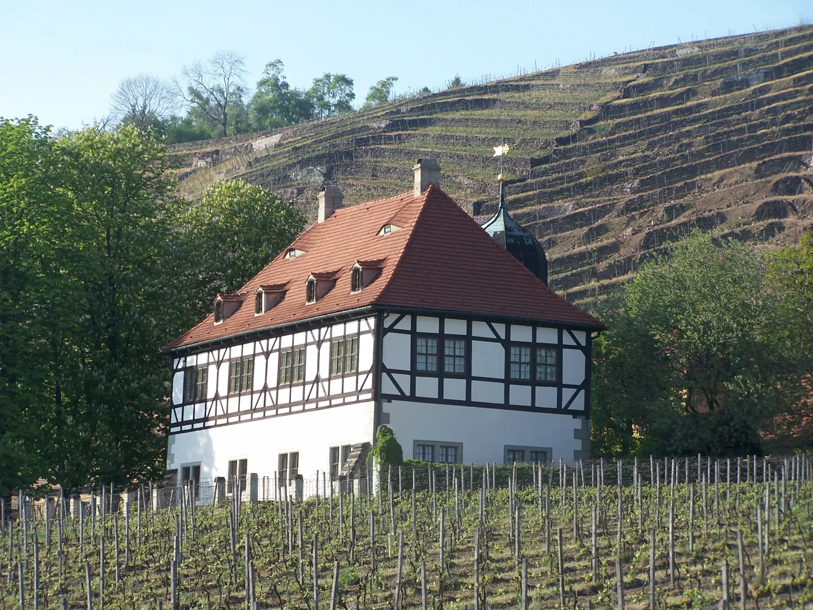 Sächsische Weinbaumuseum