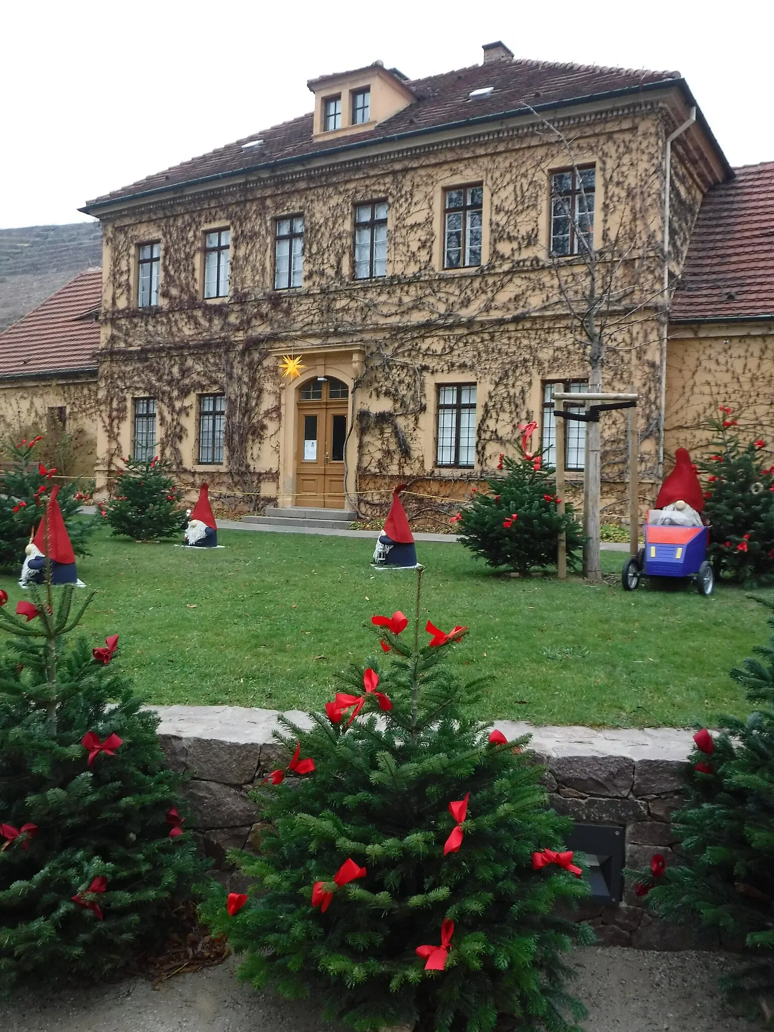 Sächsische Weinbaumuseum