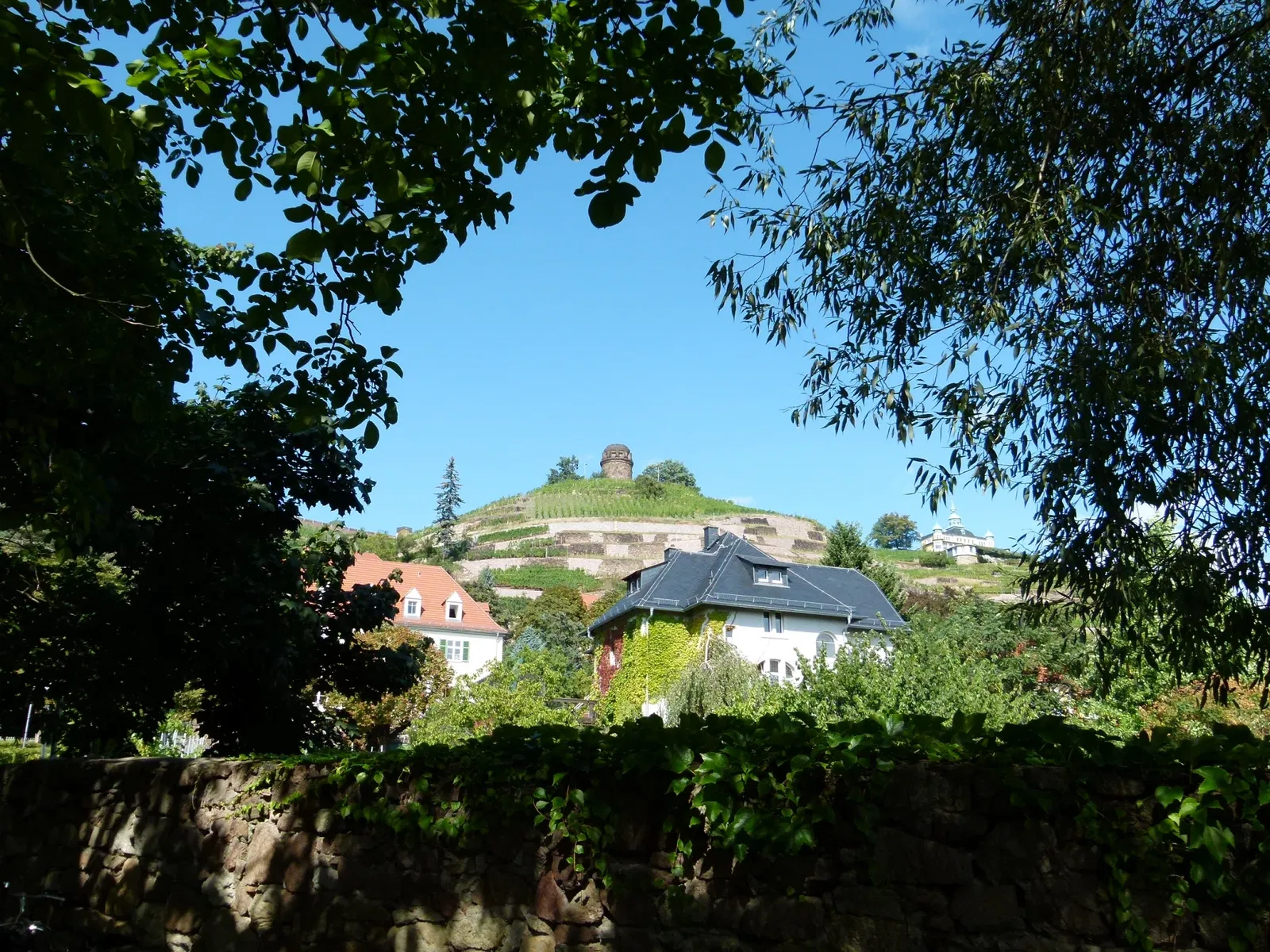 Sächsische Weinbaumuseum