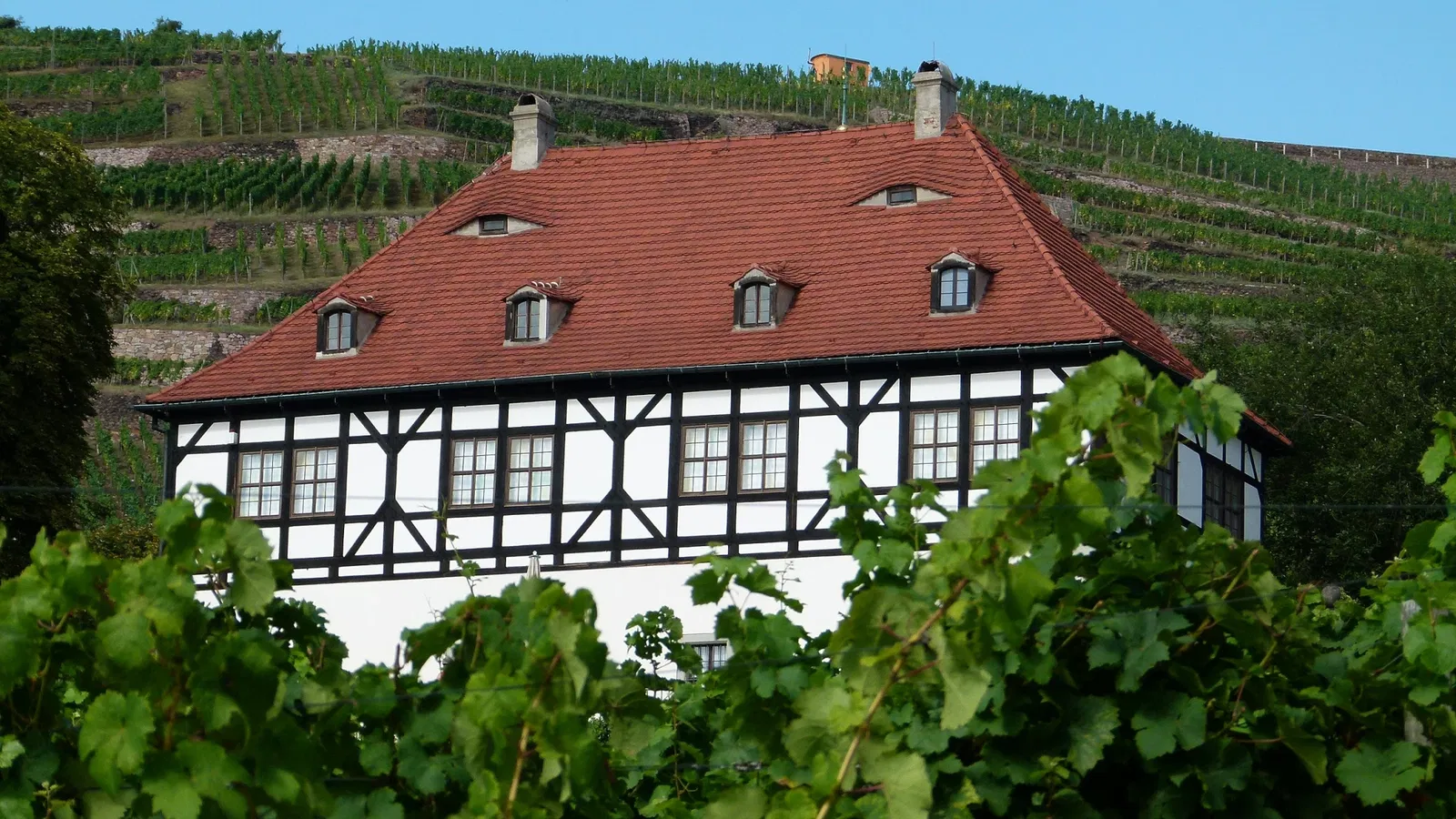 Sächsische Weinbaumuseum