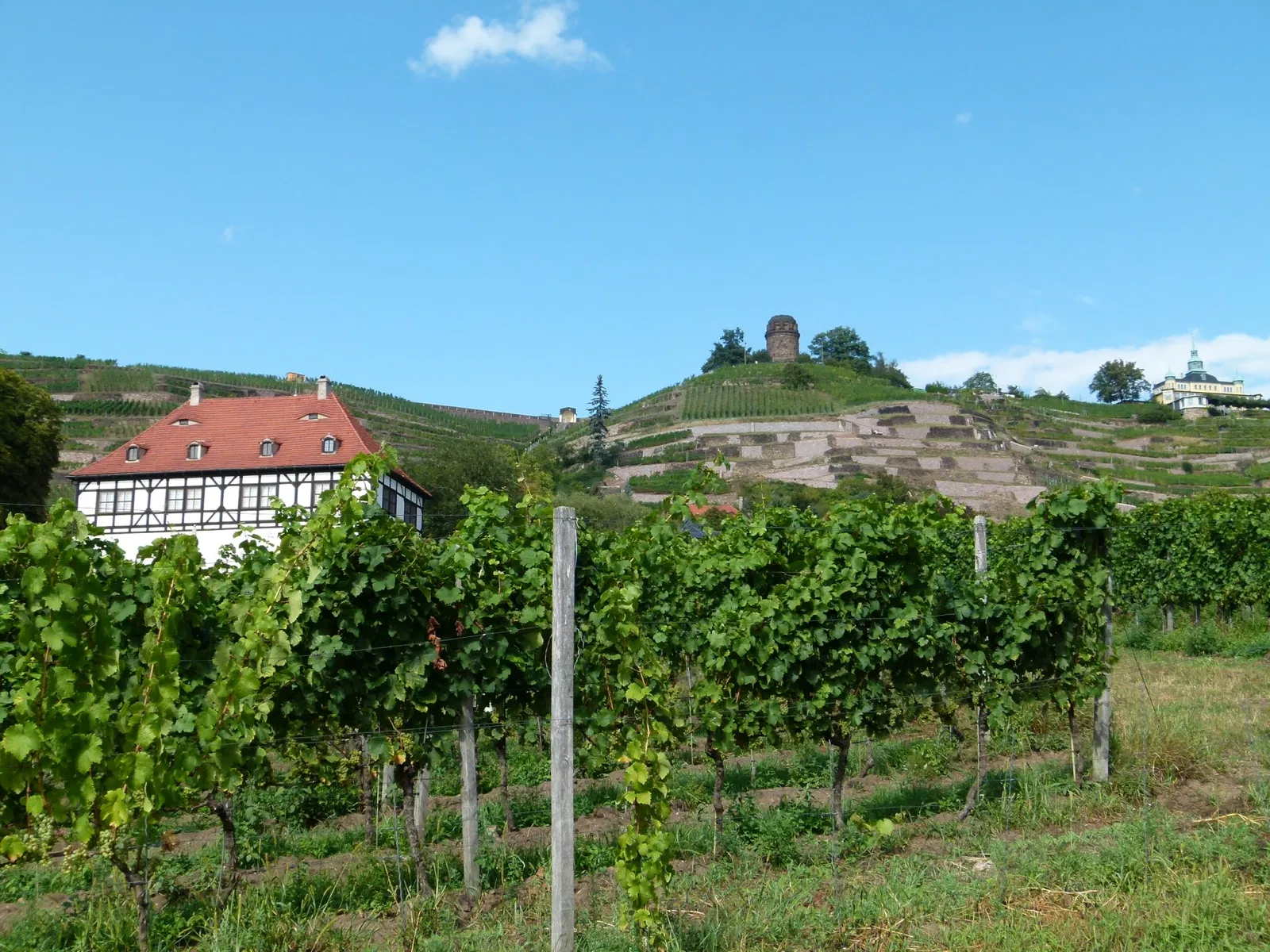 Sächsische Weinbaumuseum