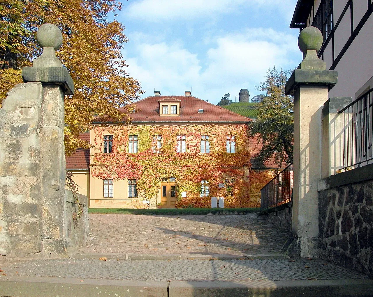 Sächsische Weinbaumuseum
