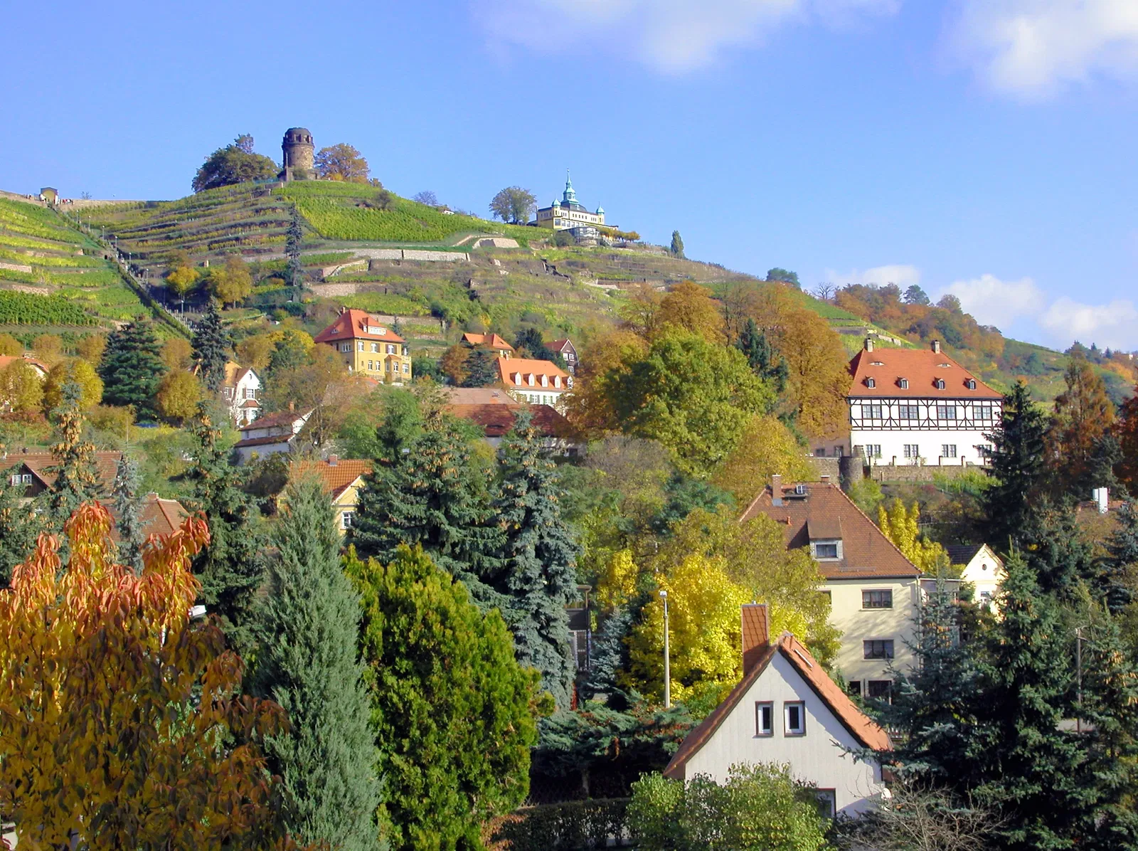 Sächsische Weinbaumuseum