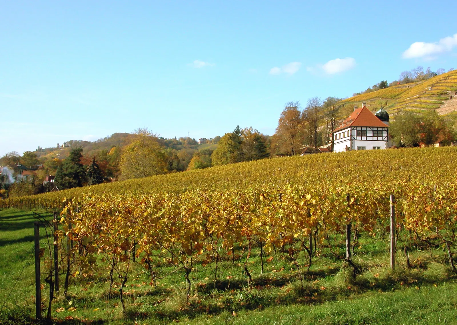 Sächsische Weinbaumuseum