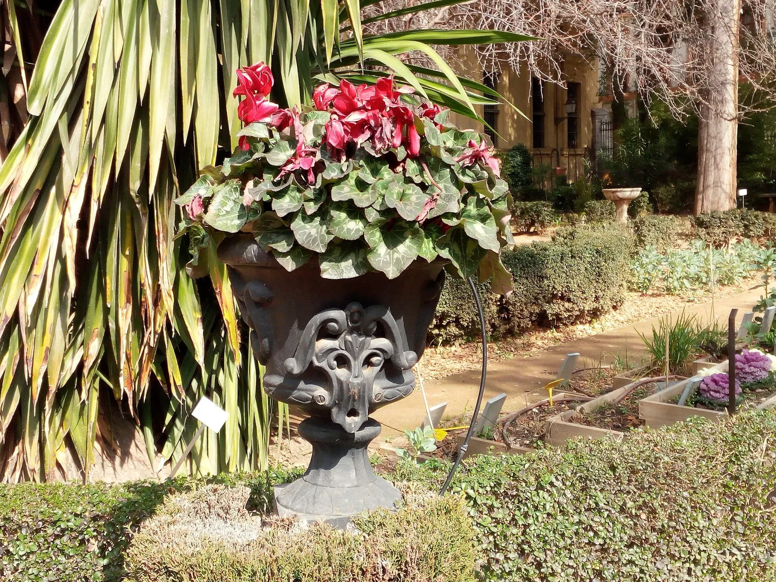 Botanischer Garten (Granada)