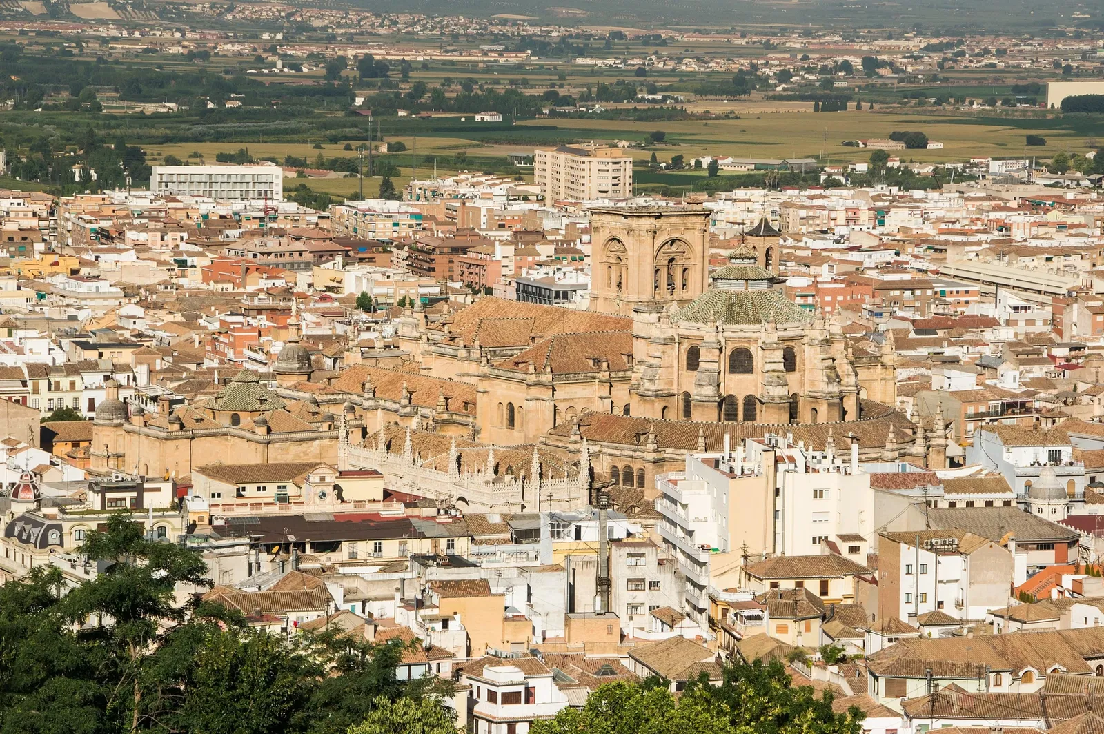 Cattedrale di Granada
