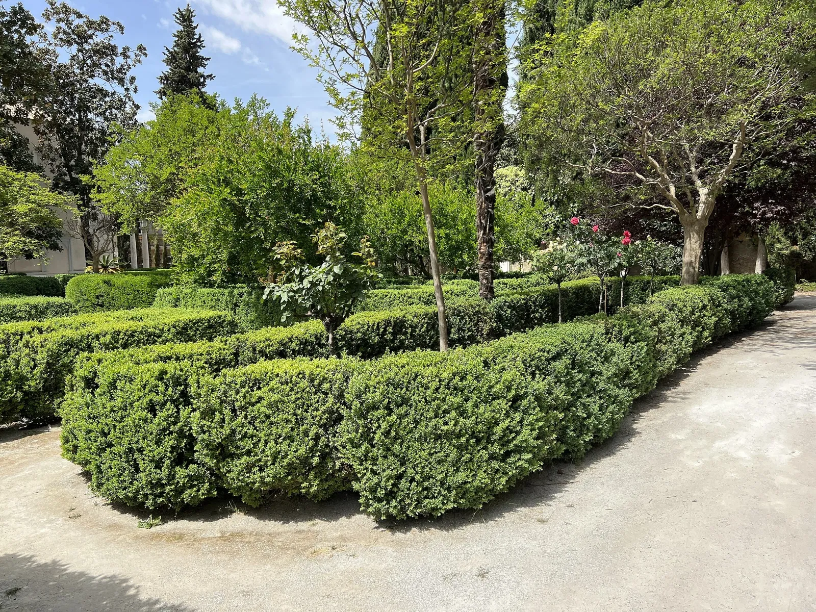 Royal Quarters of Santo Domingo