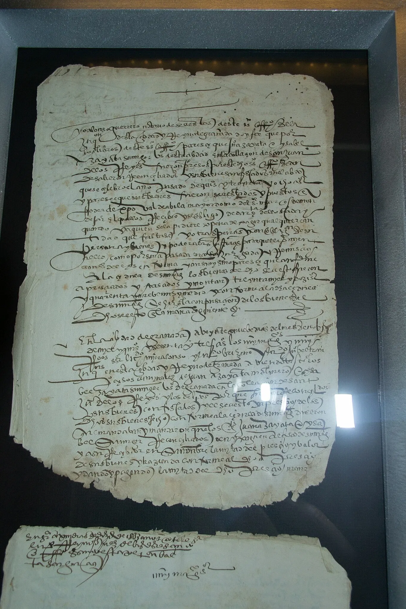 Palacio de los Olvidados