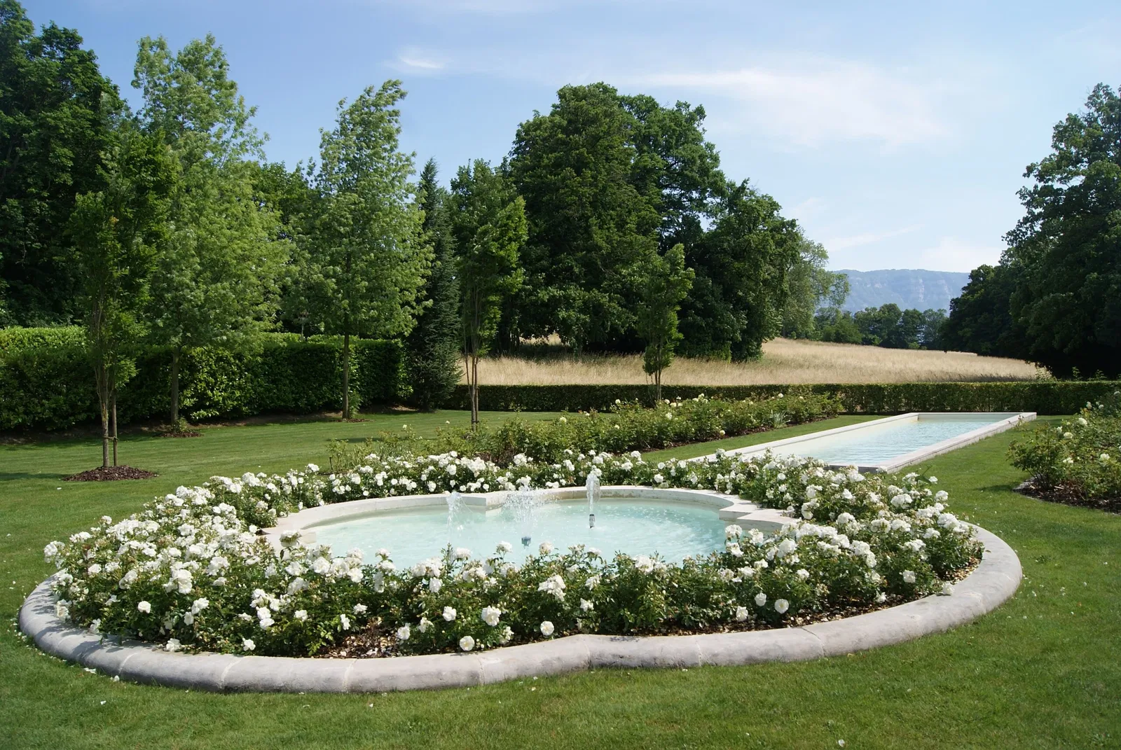 Fondation Martin Bodmer