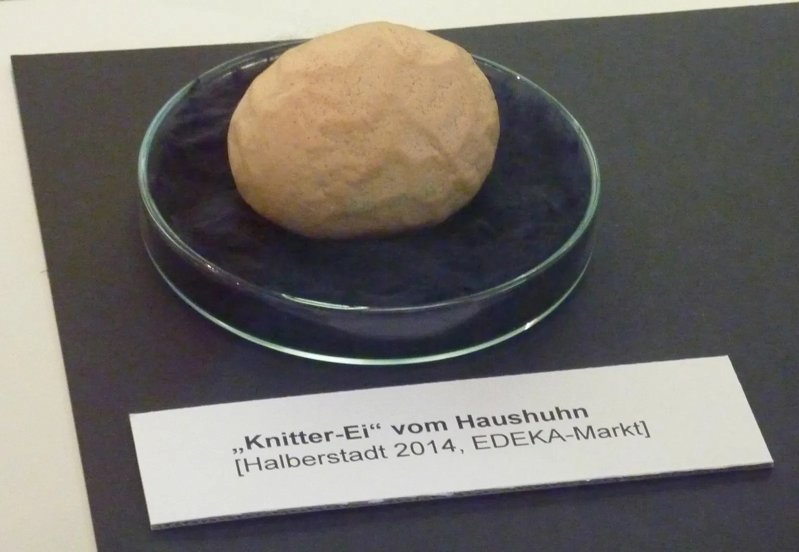 Museum Heineanum