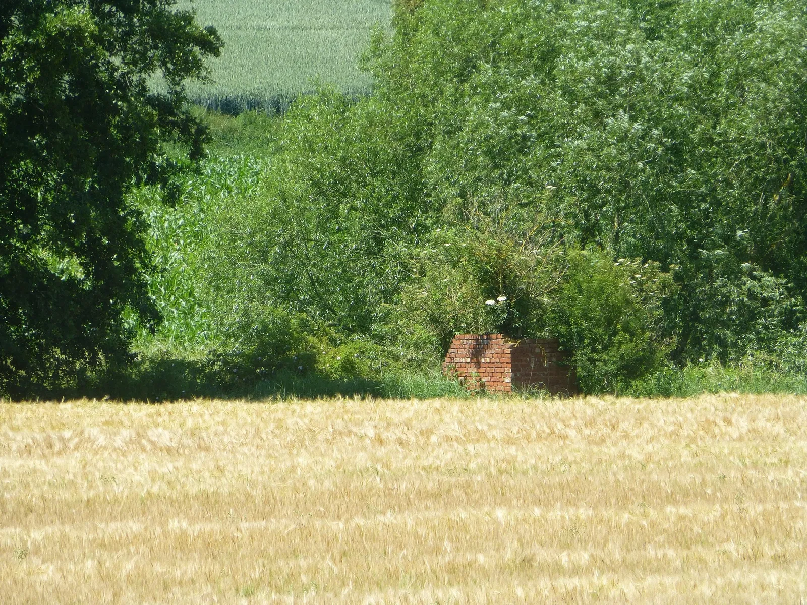 Grenzlandmuseum Eichsfeld