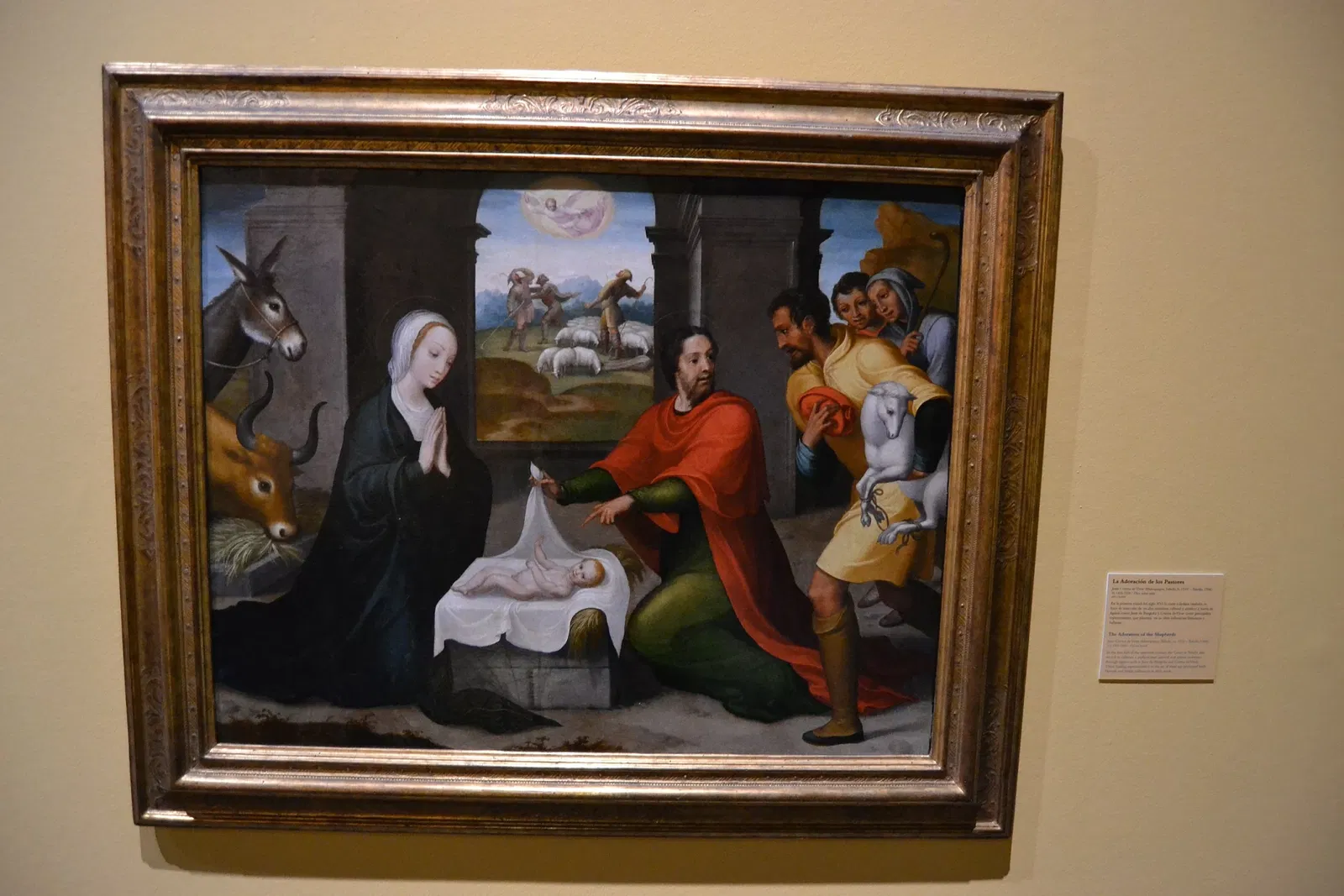 Museum of Santa Cruz