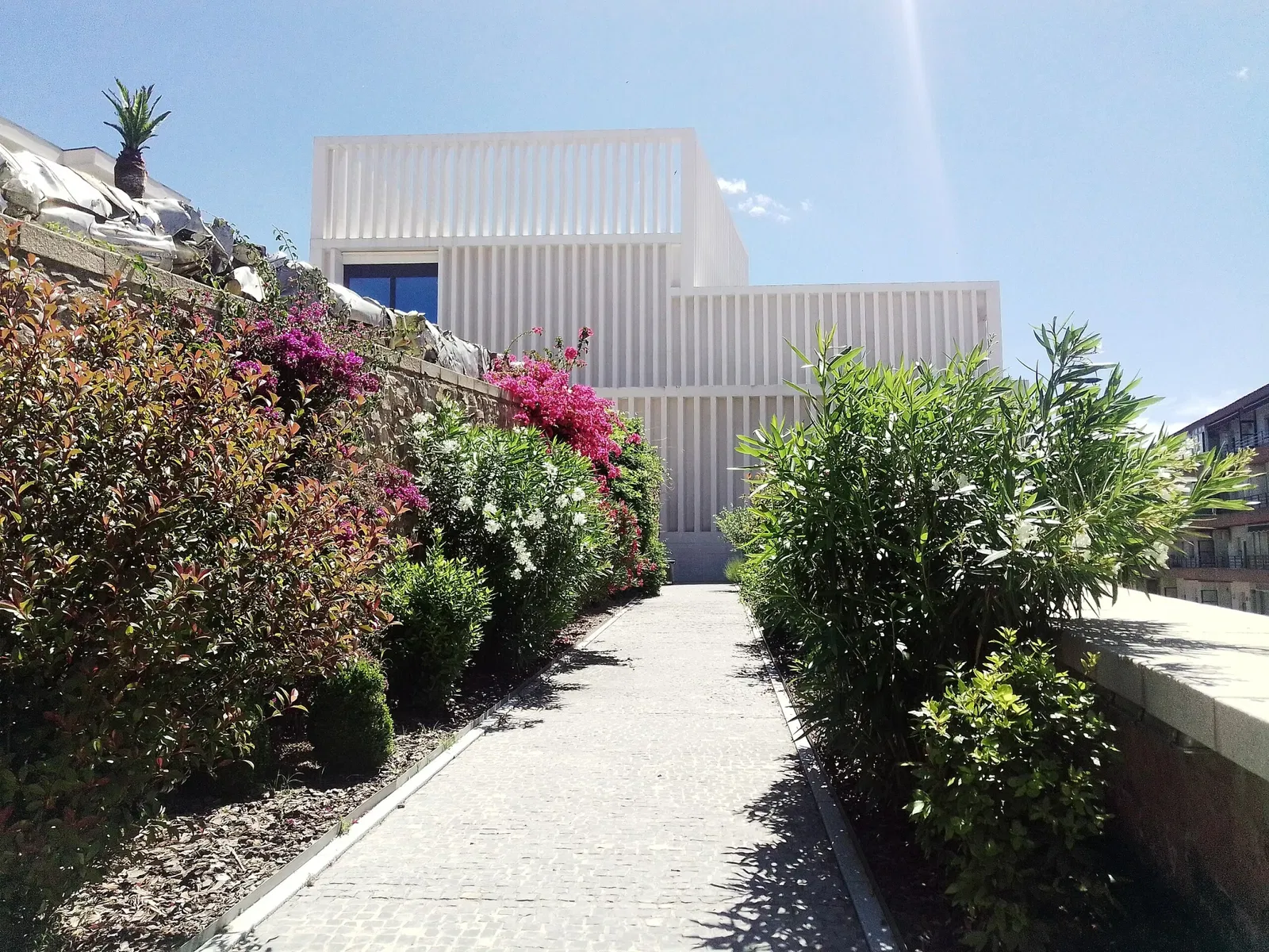 Museum of Contemporary Art Helga de Alvear