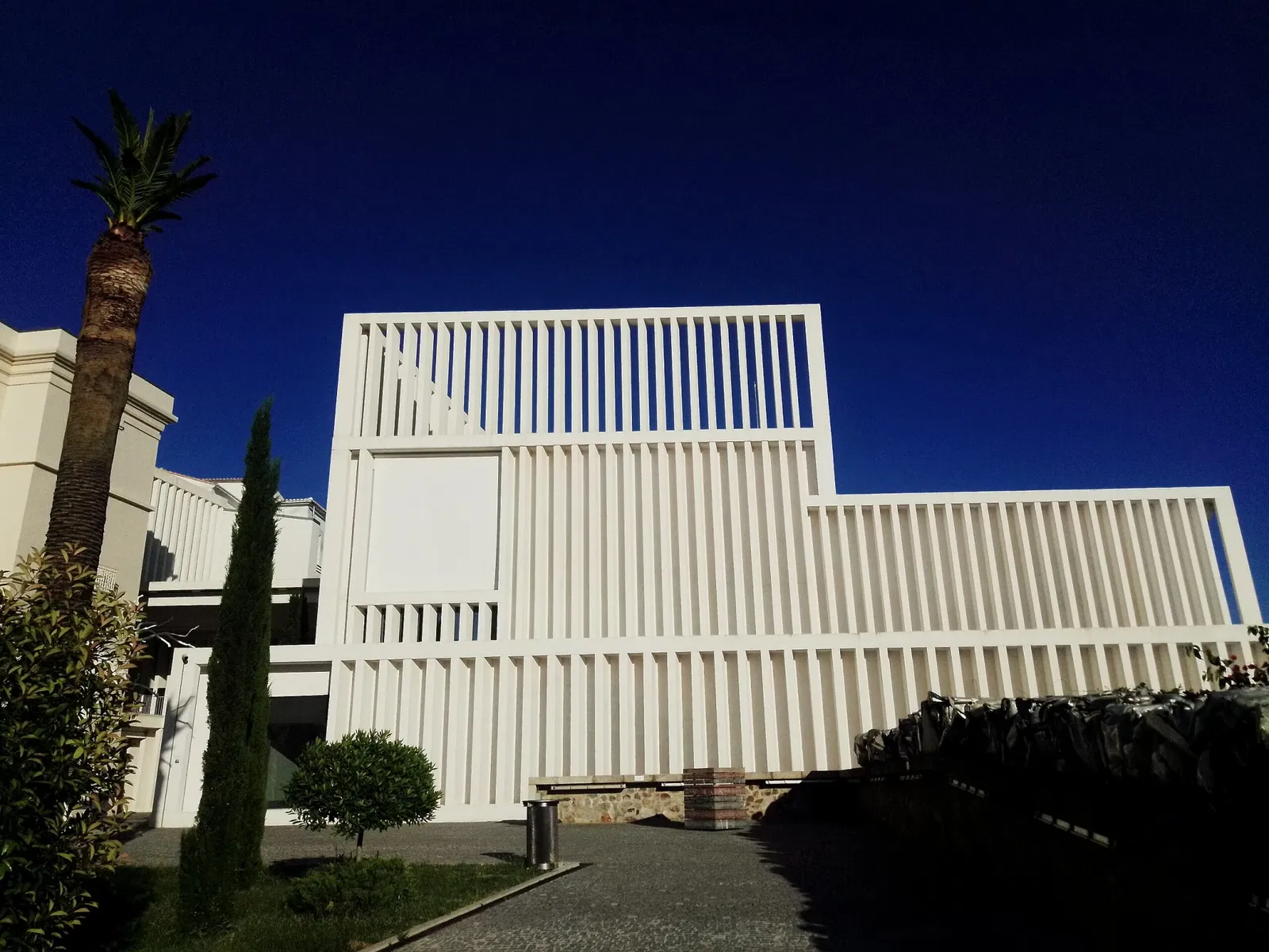 Museum of Contemporary Art Helga de Alvear