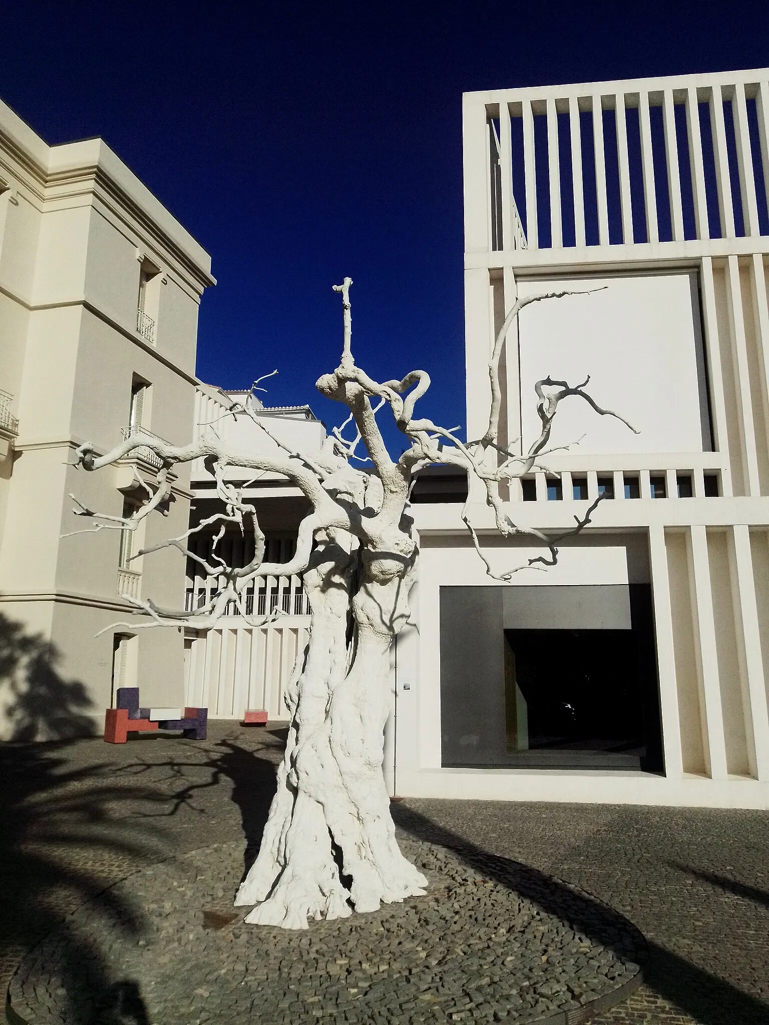 Museo de Arte Contemporáneo Helga de Alvear